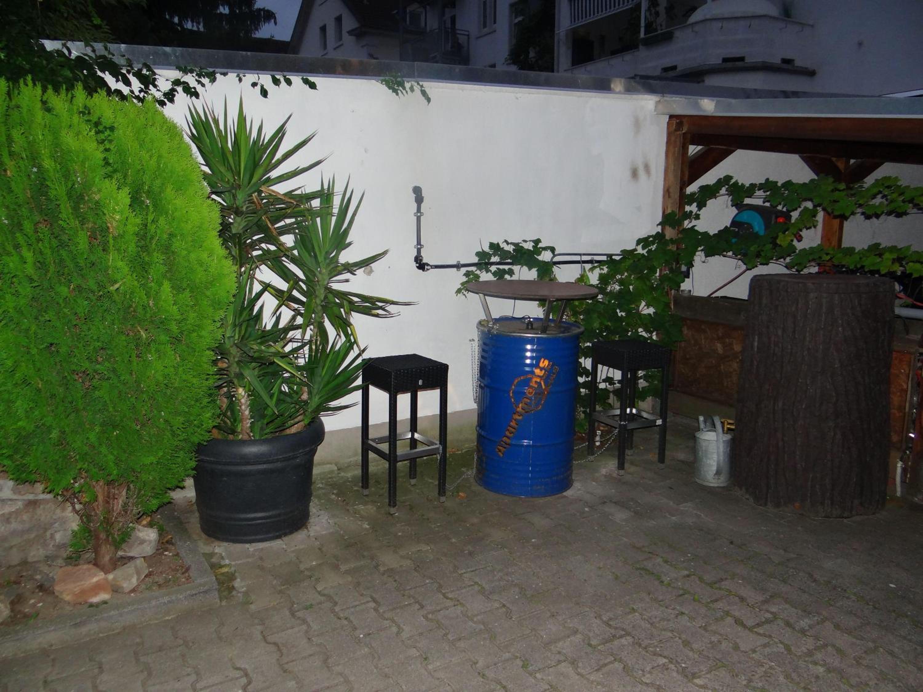 Photo 11