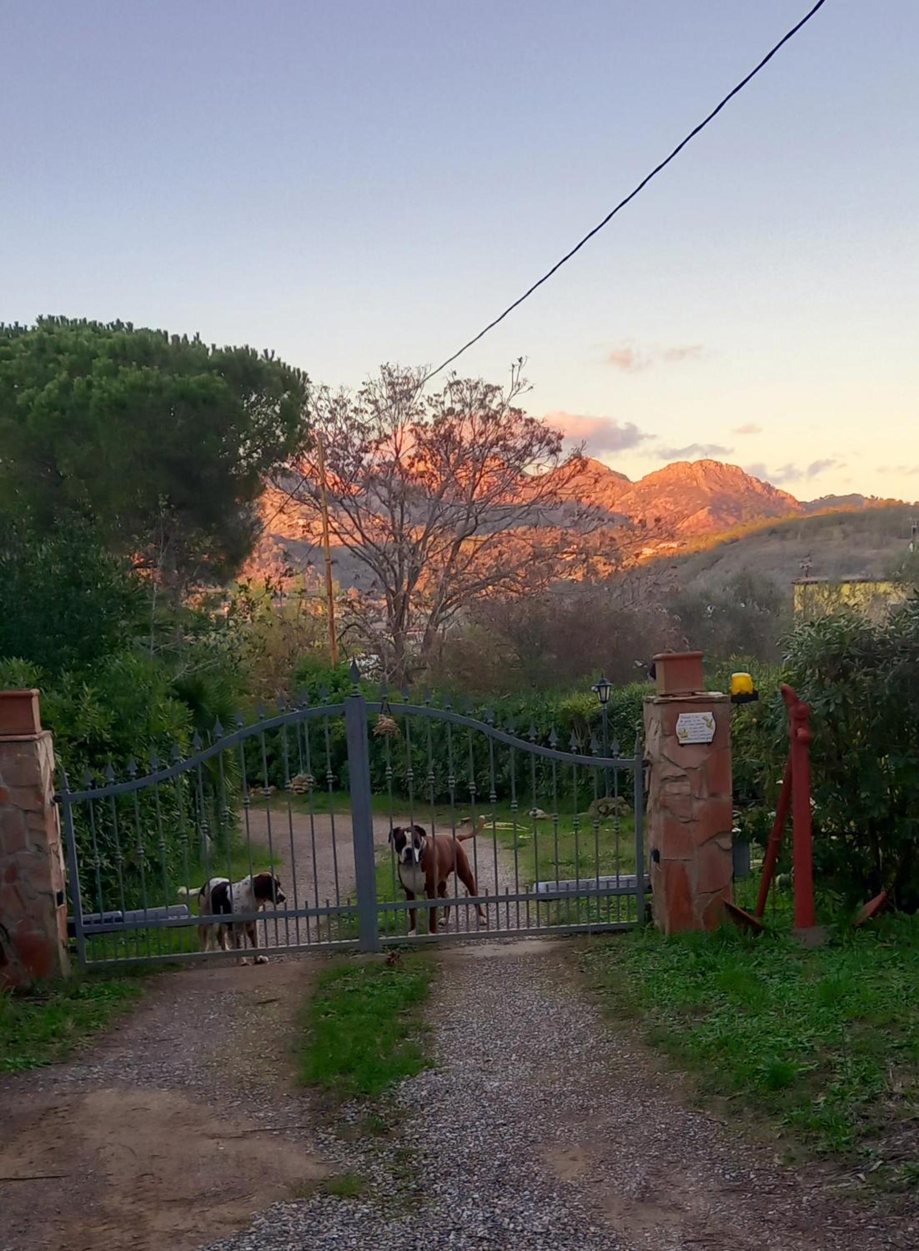 Le Case del Riccio - Isola d'Elba (049004LTN0006) photo 3
