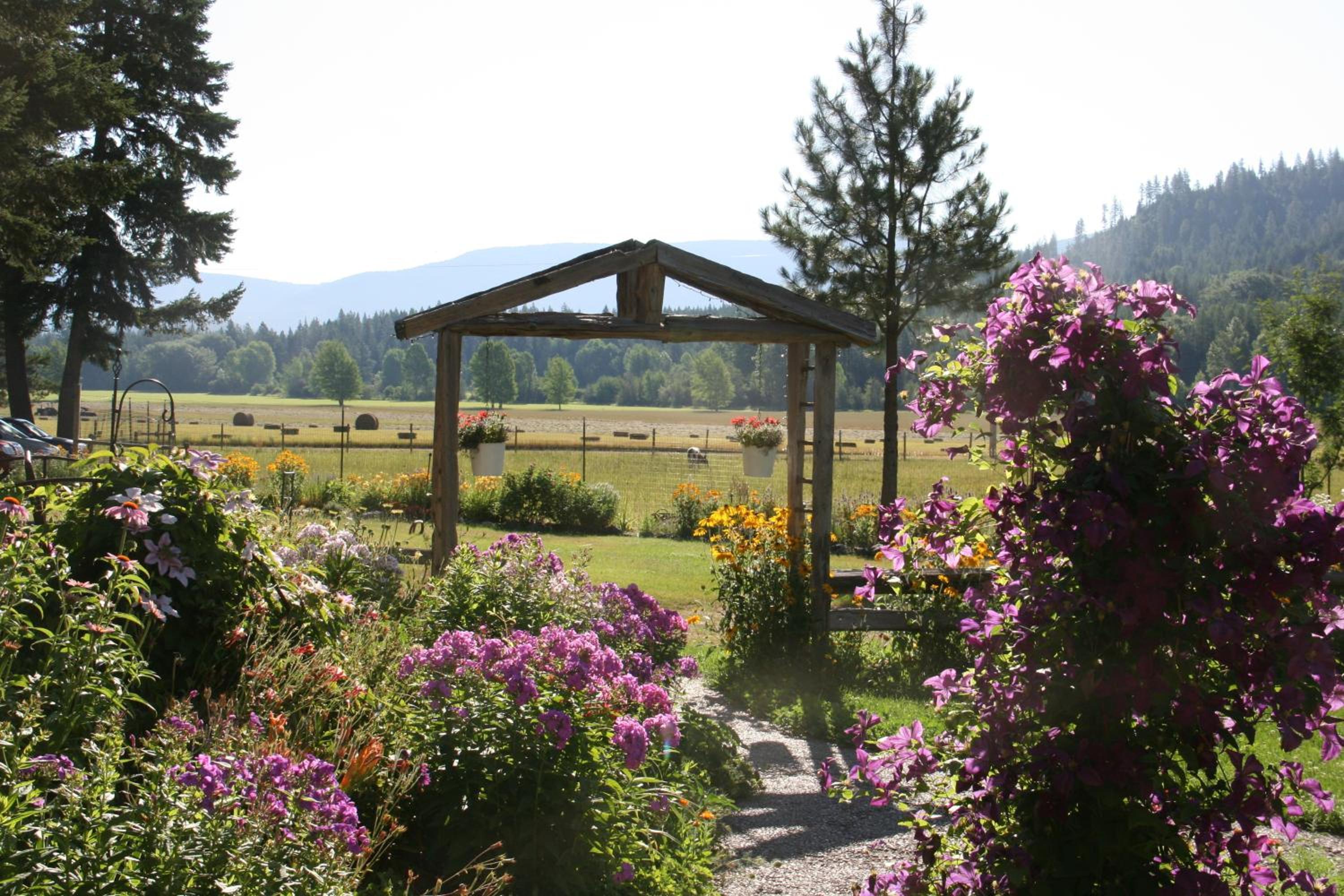 Cedar Mountain Farm Bed and Breakfast LLC view 4