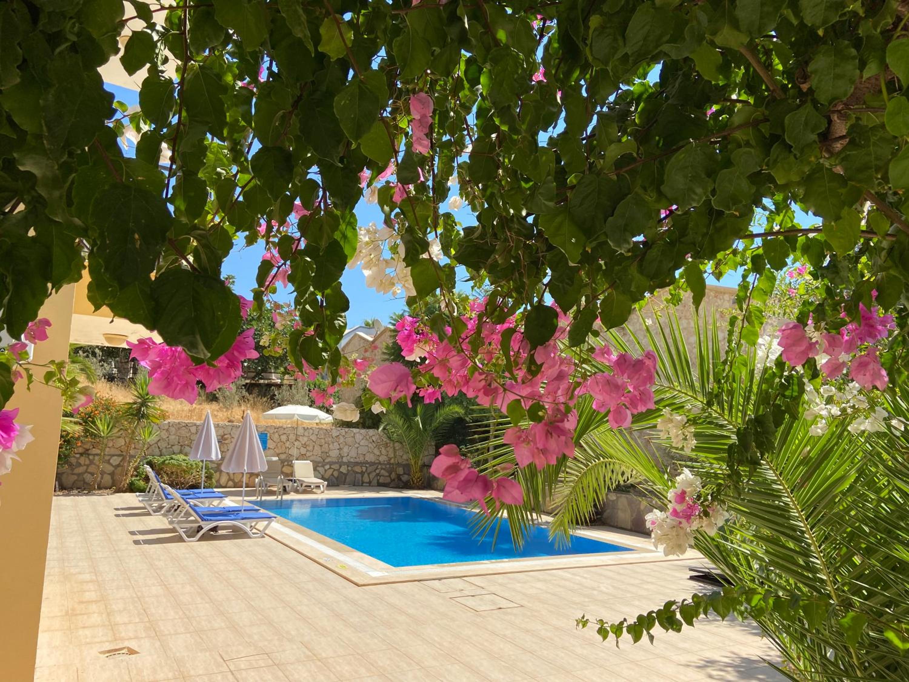Alize Apartları1
