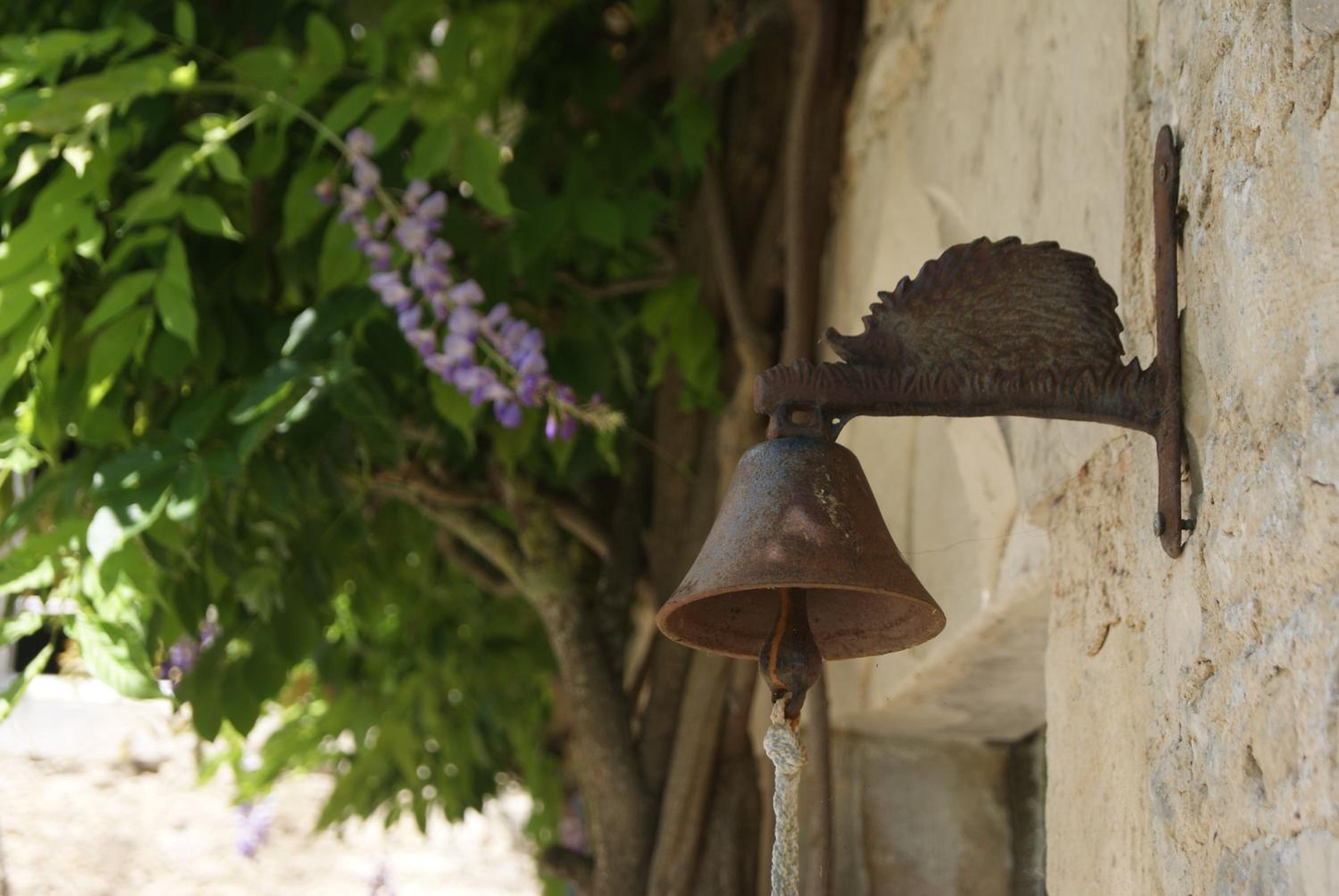 Manoir de la Pataudière B&B