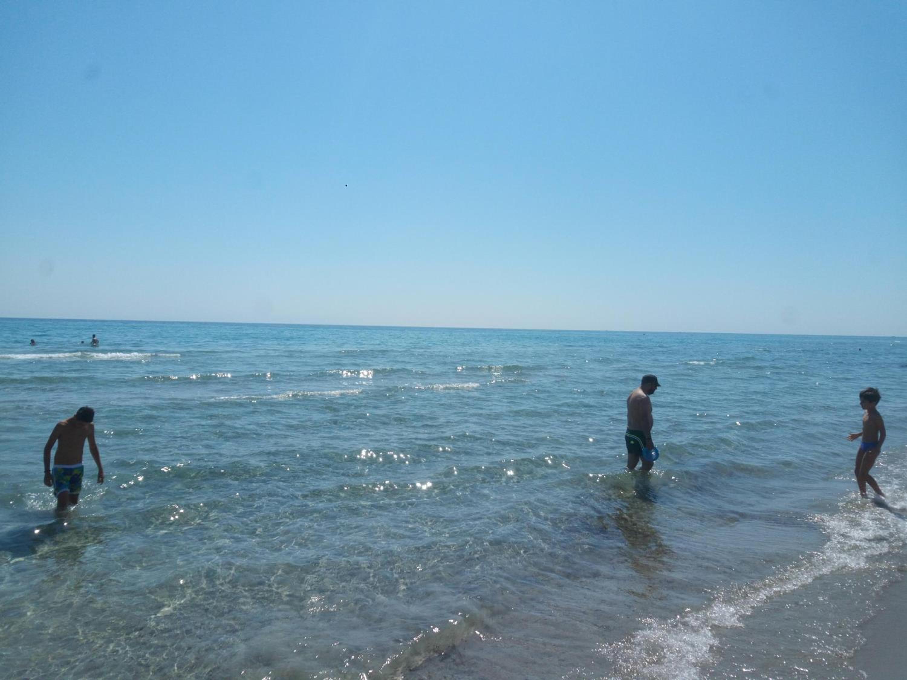 Photo 51