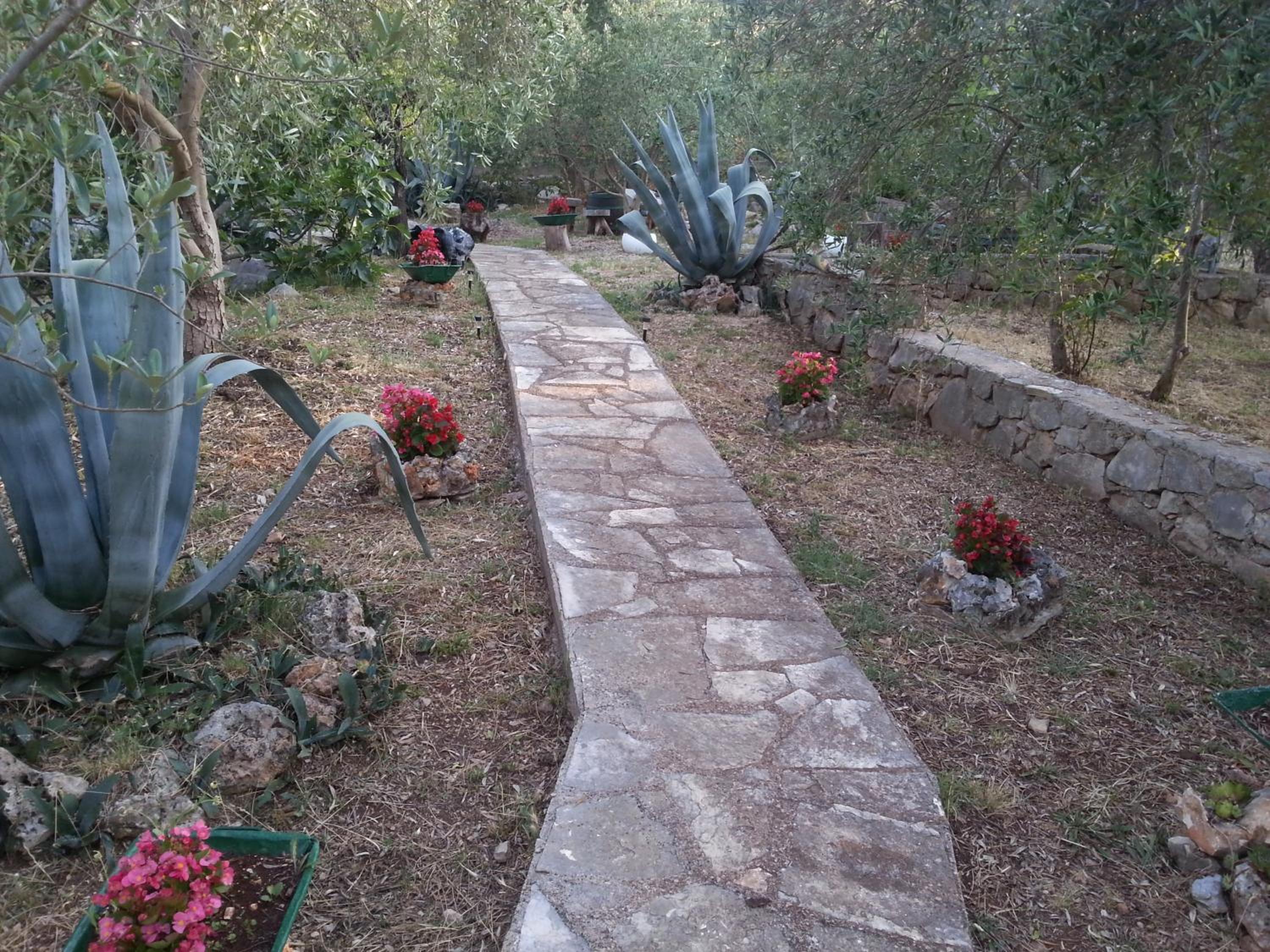 Photo 46