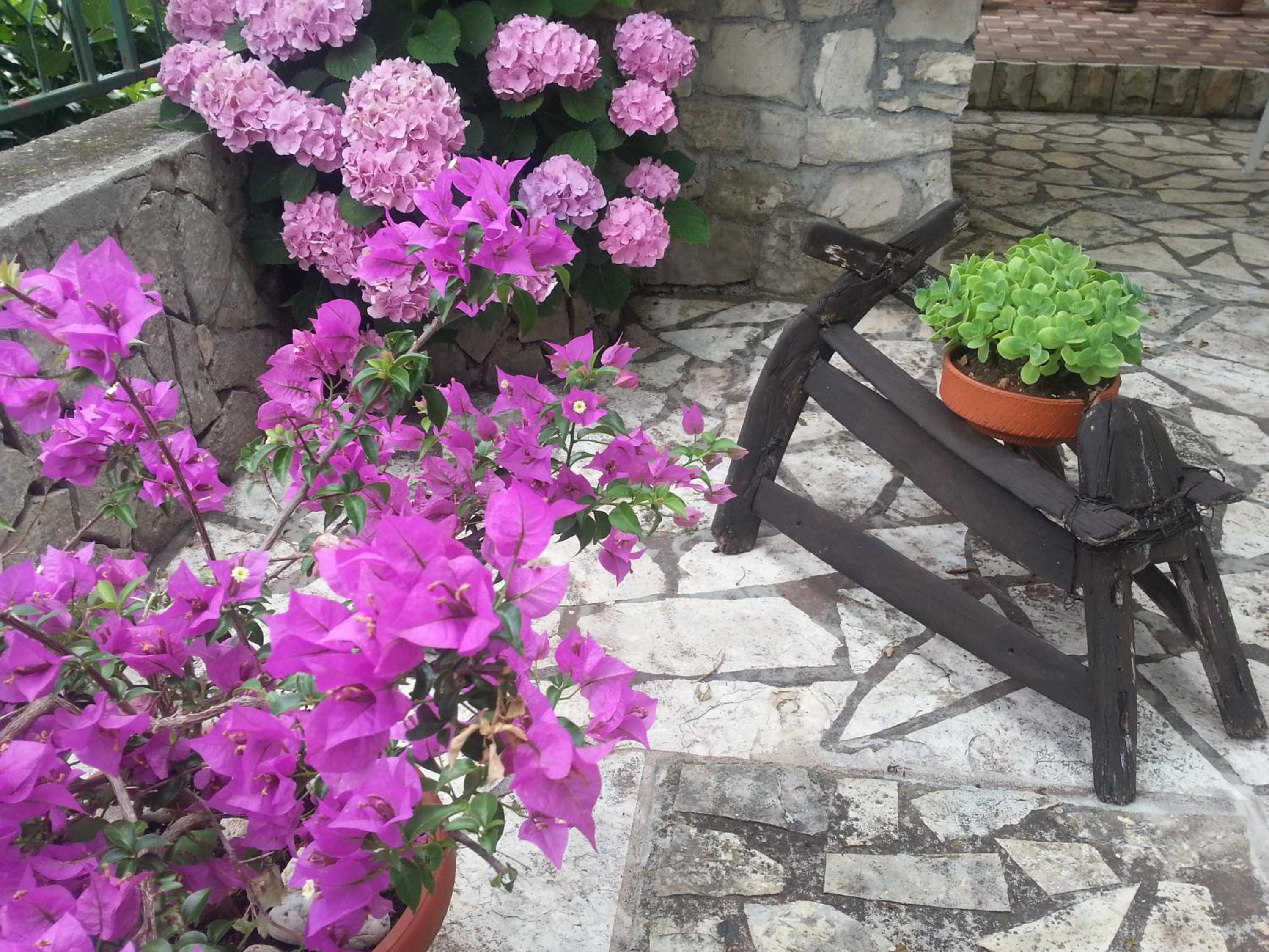 Photo 21