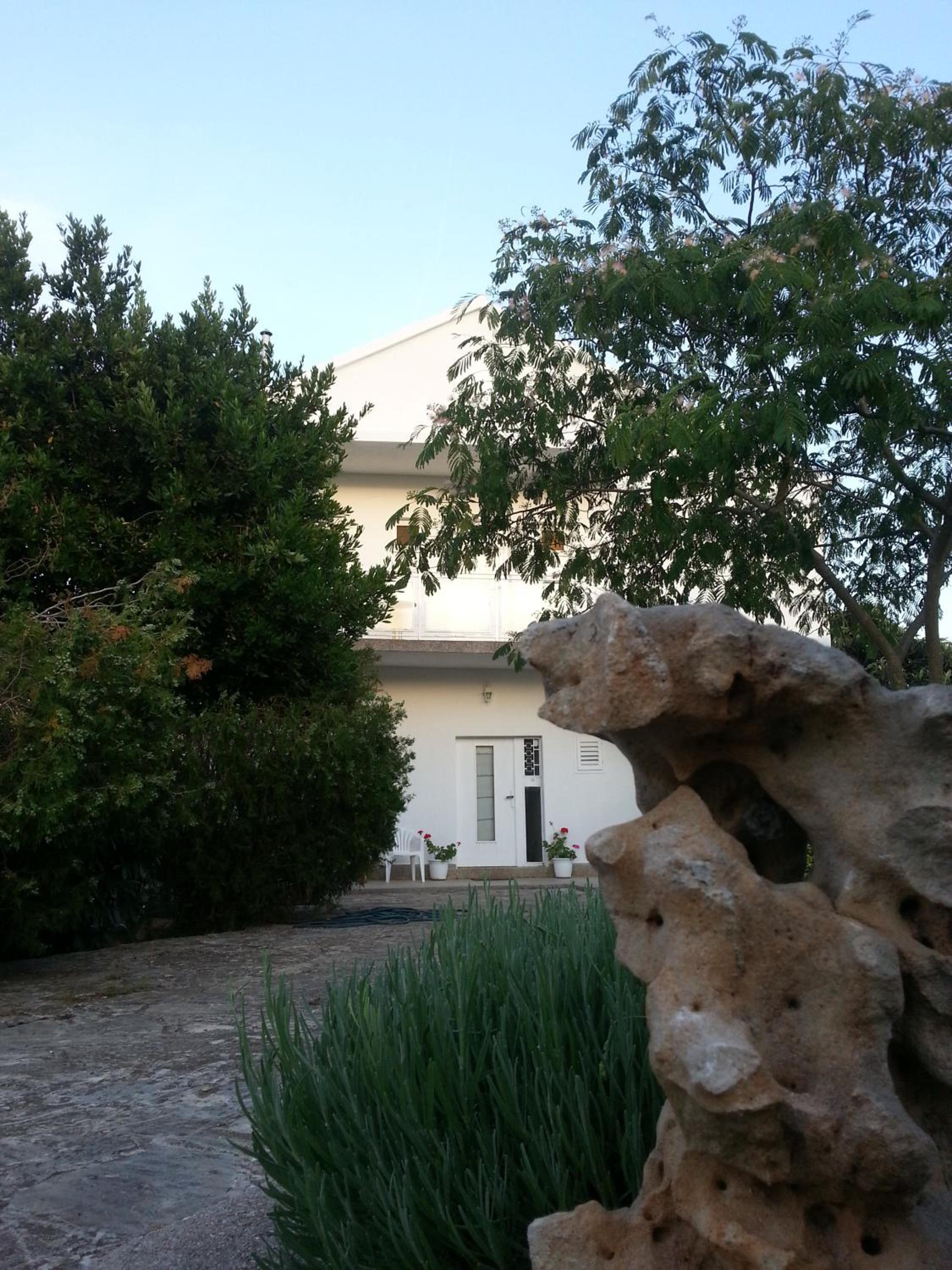 Photo 43