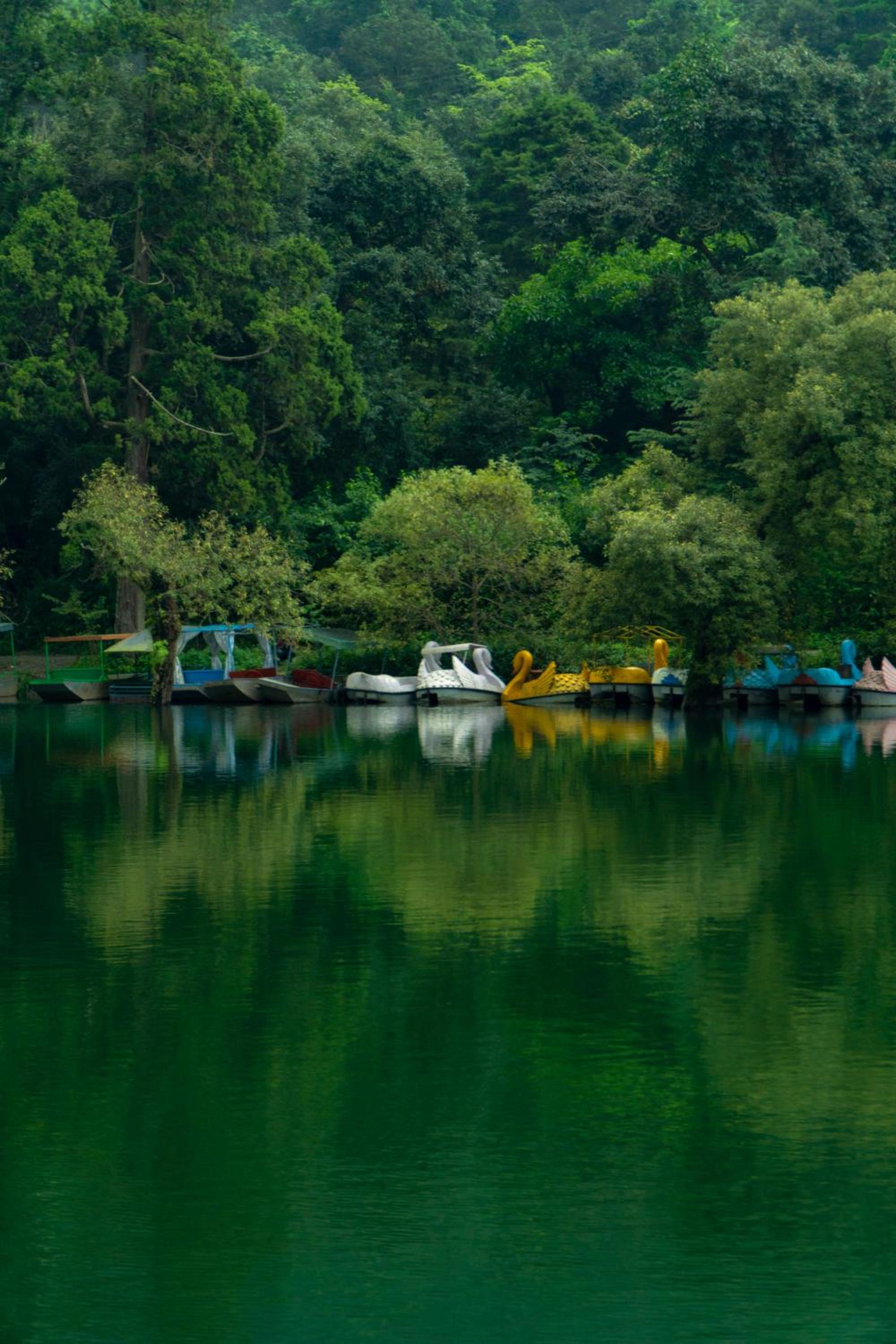 The Hosteller Naukuchiatal, Bhimtal, photo 50