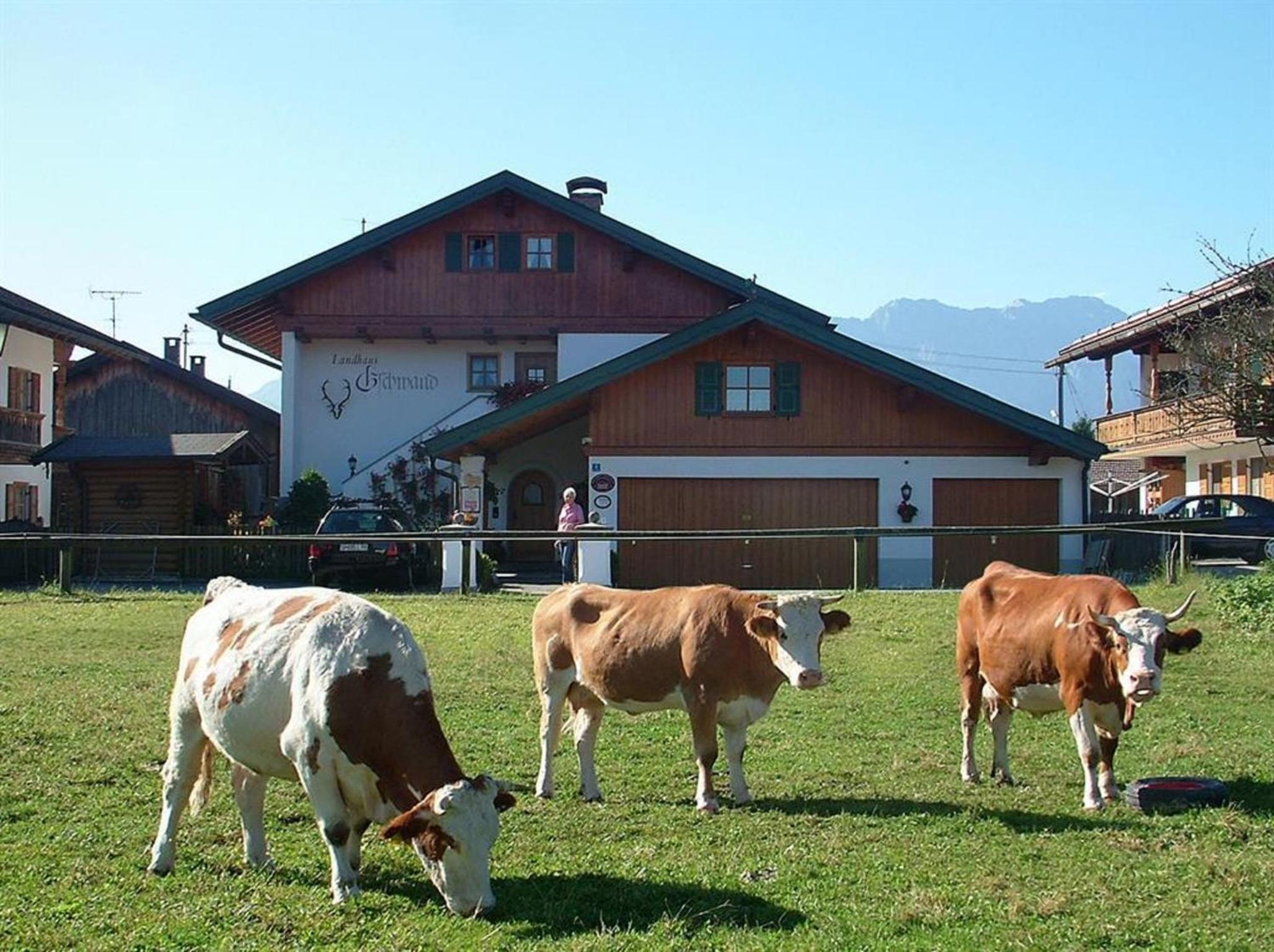 Landhaus Gschwand view 2