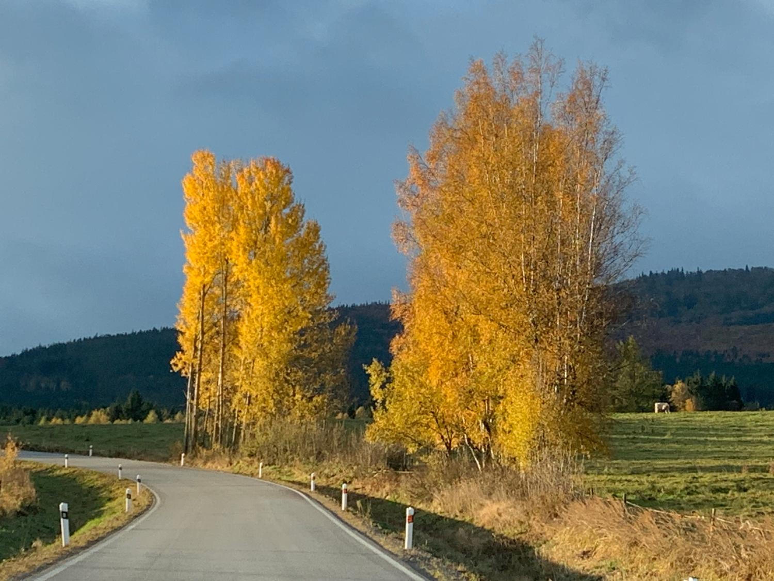 Apartmán Šestka