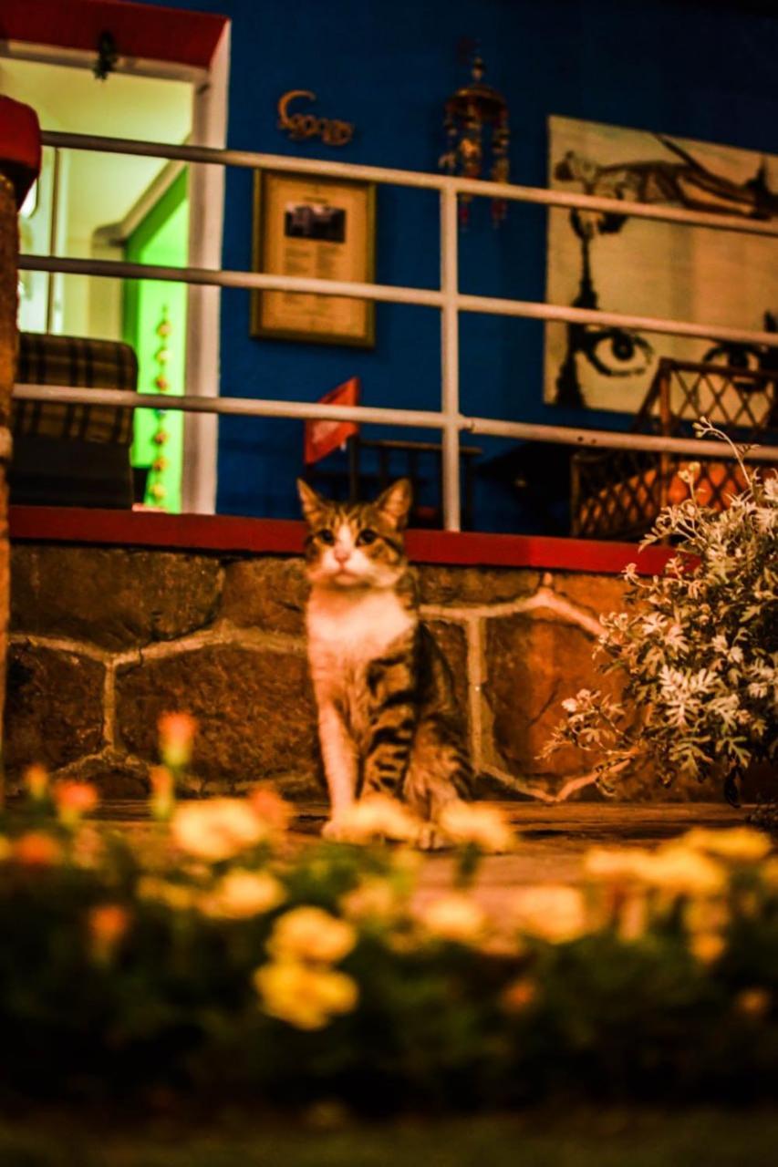 Blau Hostel
