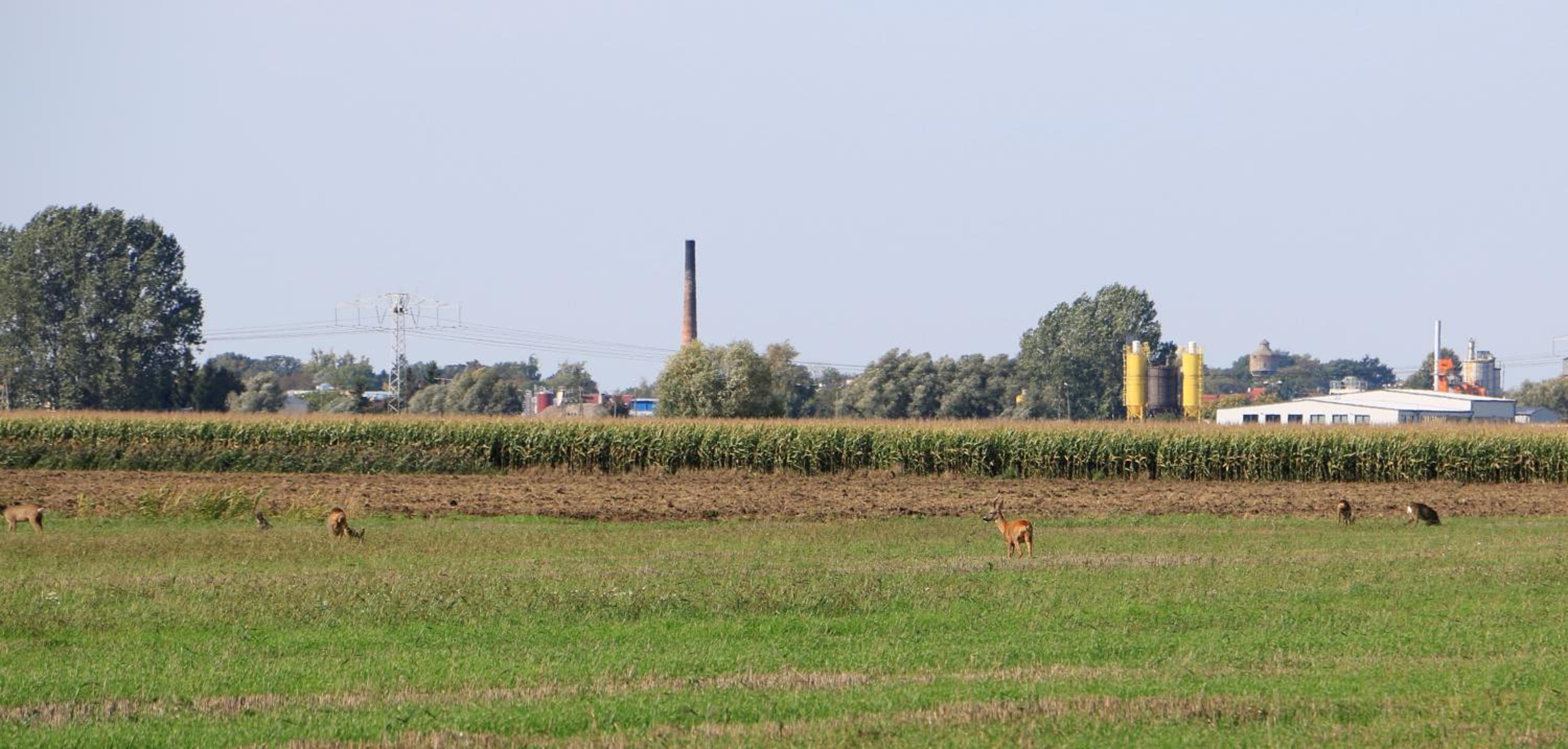 Agroturystyka Żuławiaczek