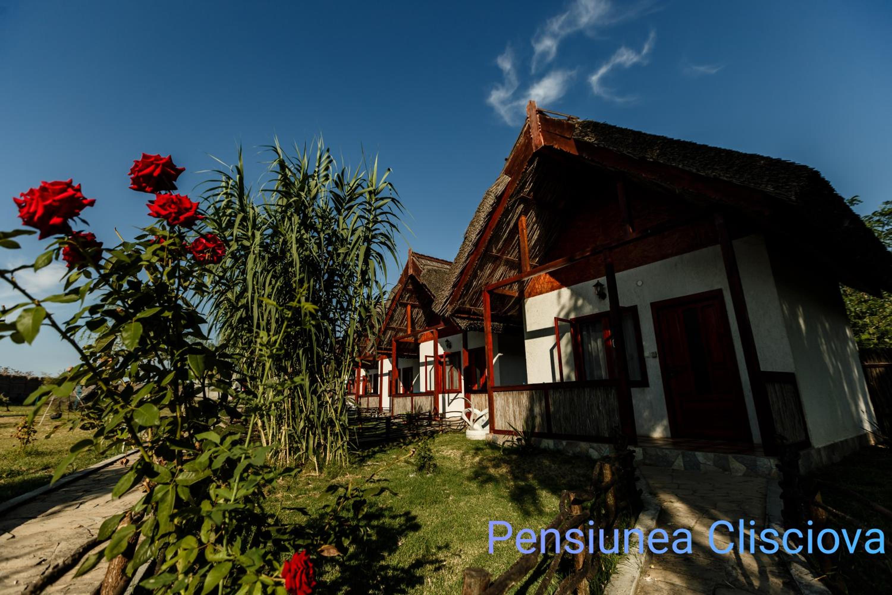 Pensiunea Clisciova view 4