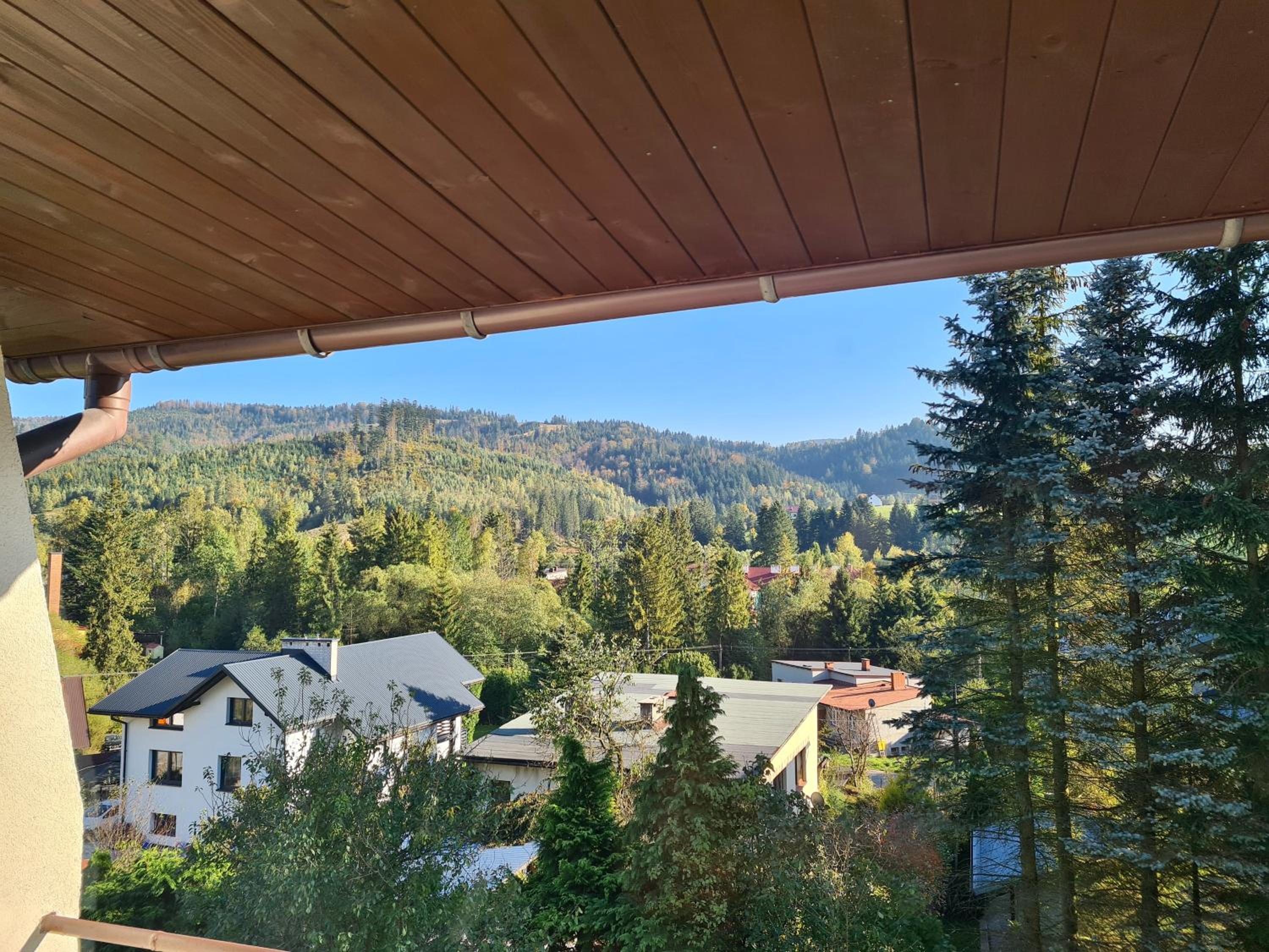 Apartamenty Willa NaSkarpie Jacuzzi Sauna Basen view 4