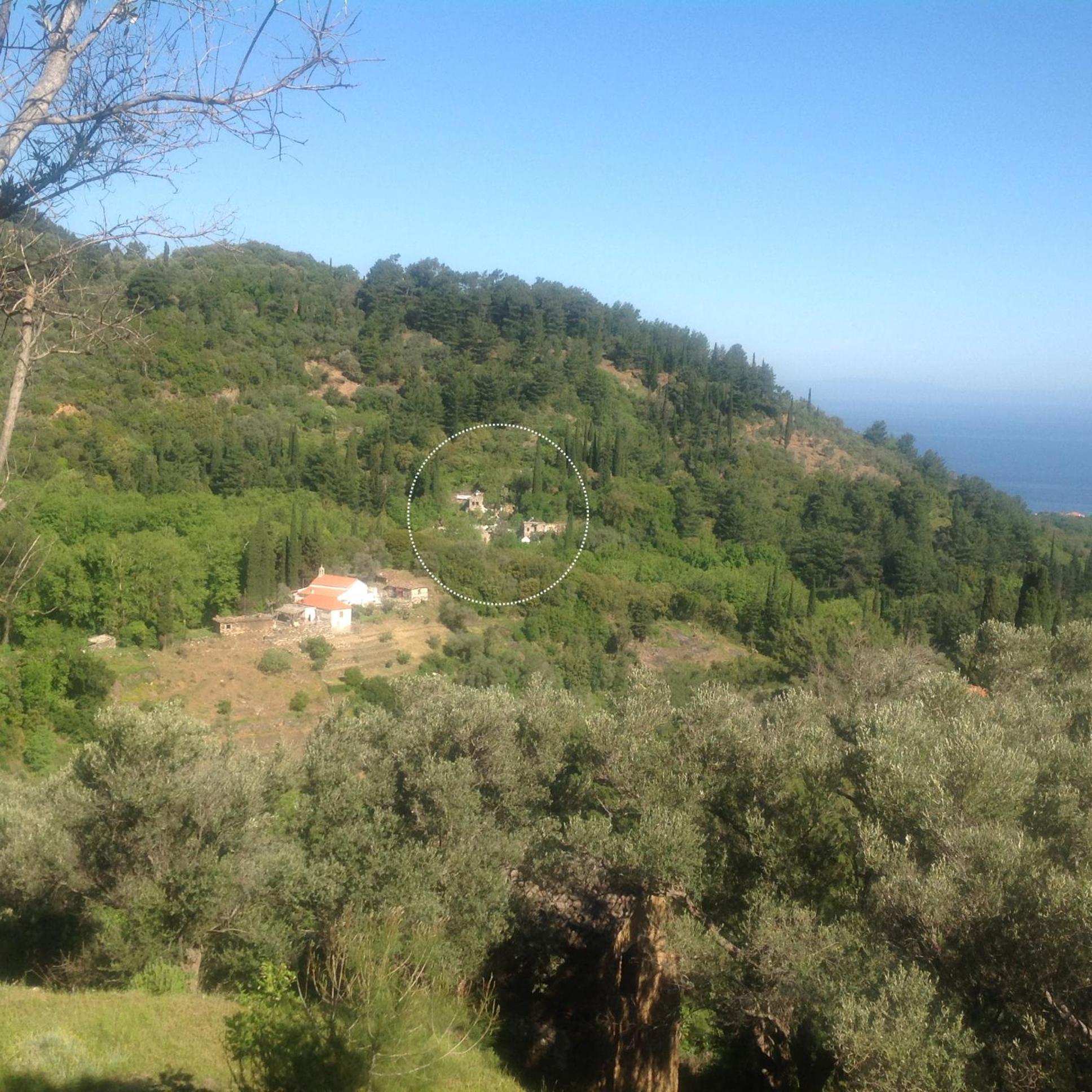 Photo 46