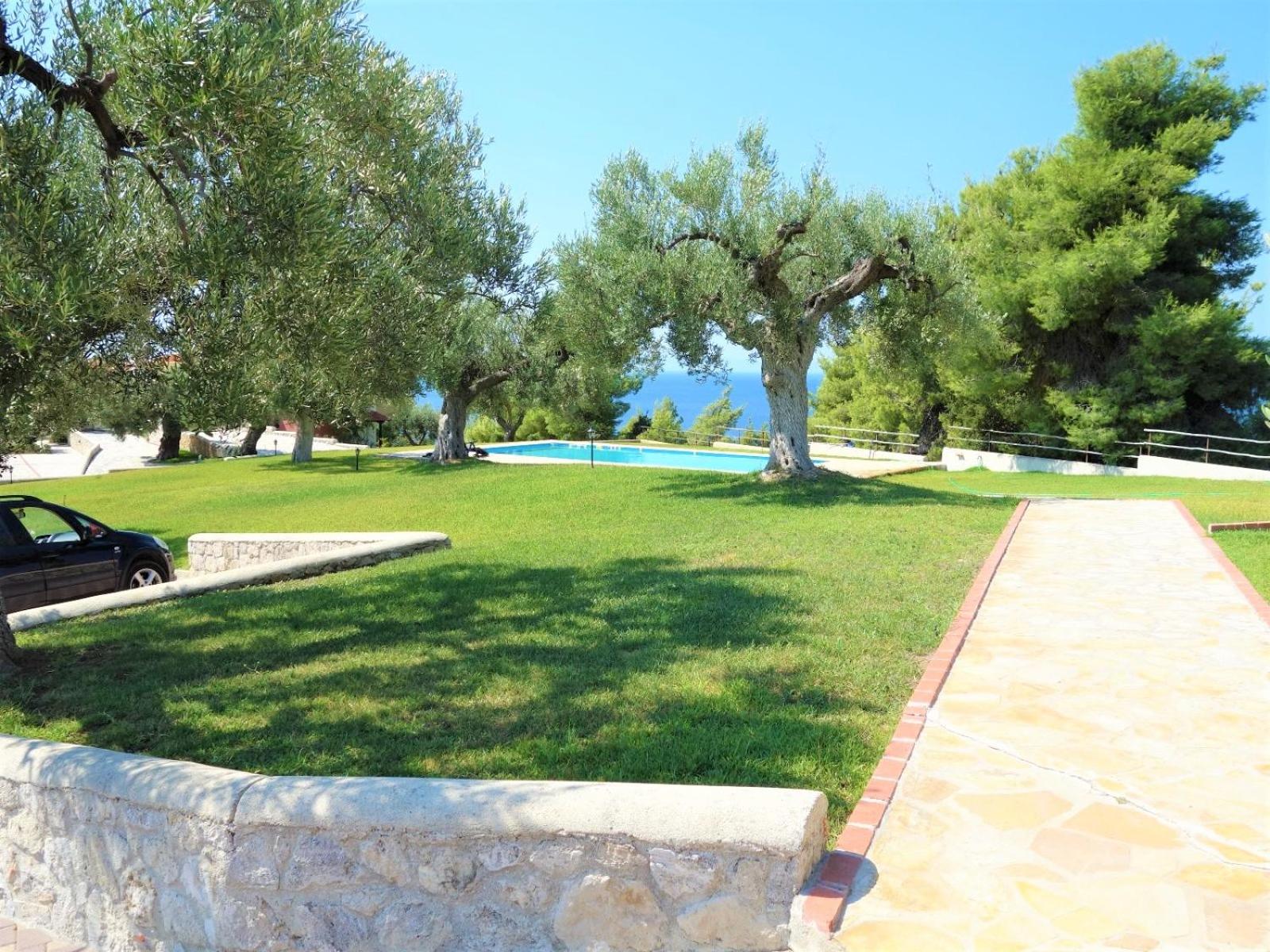 Villa Panorama photo 2