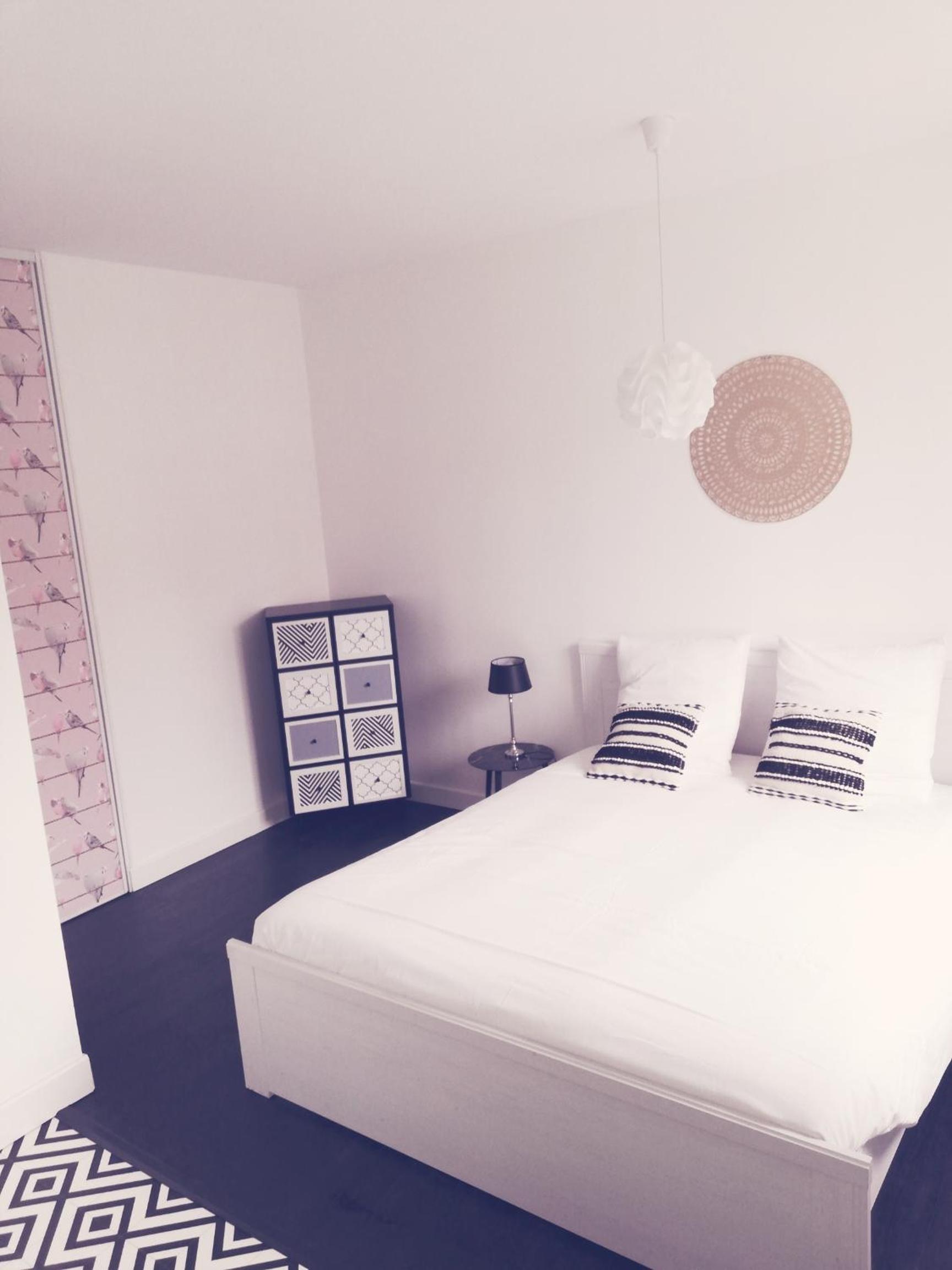 Suite 24