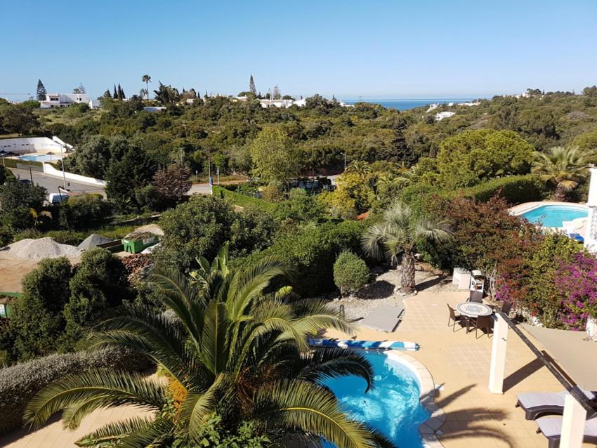The Palm House view 4