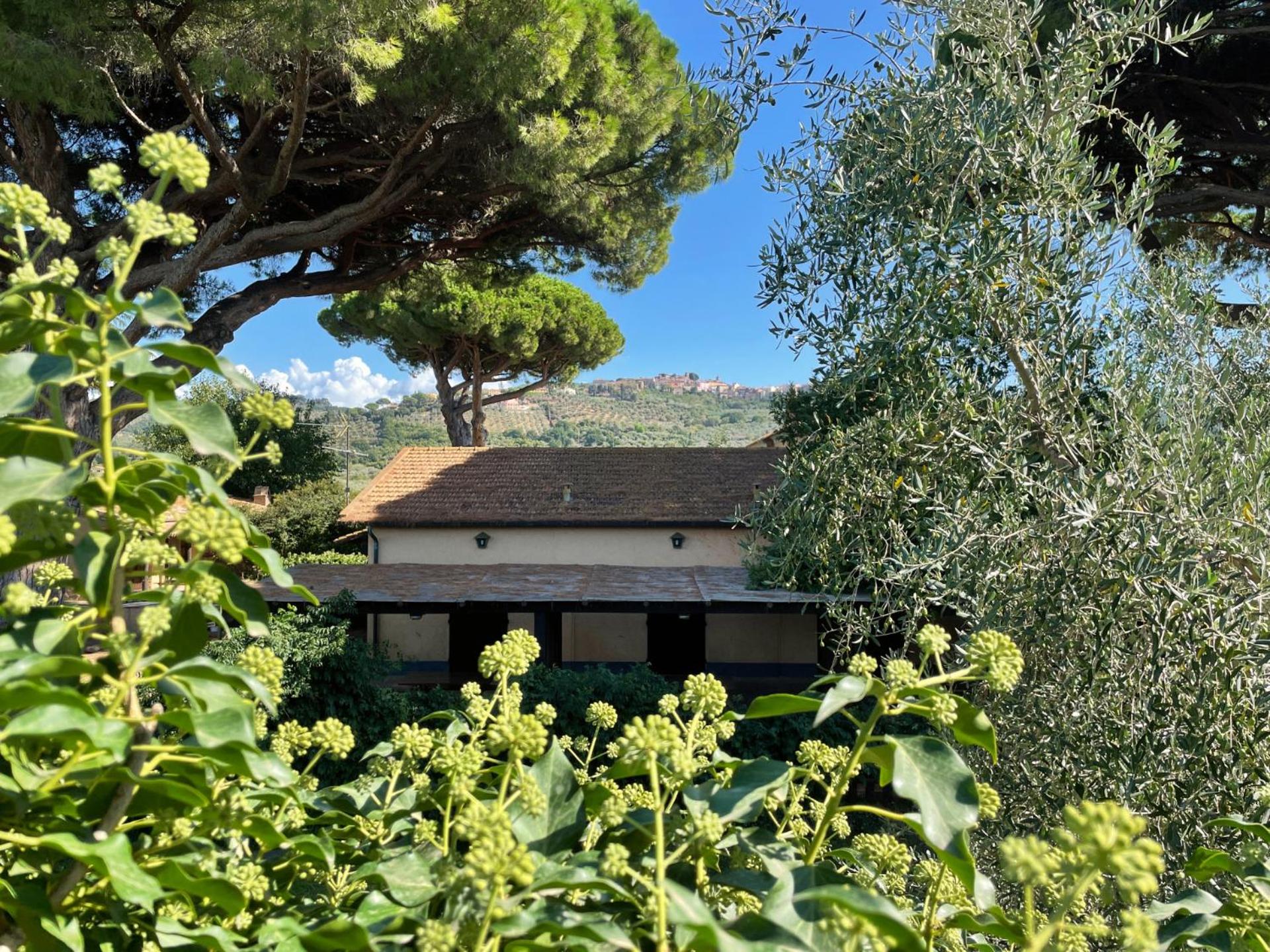 Agriturismo Il Vignone