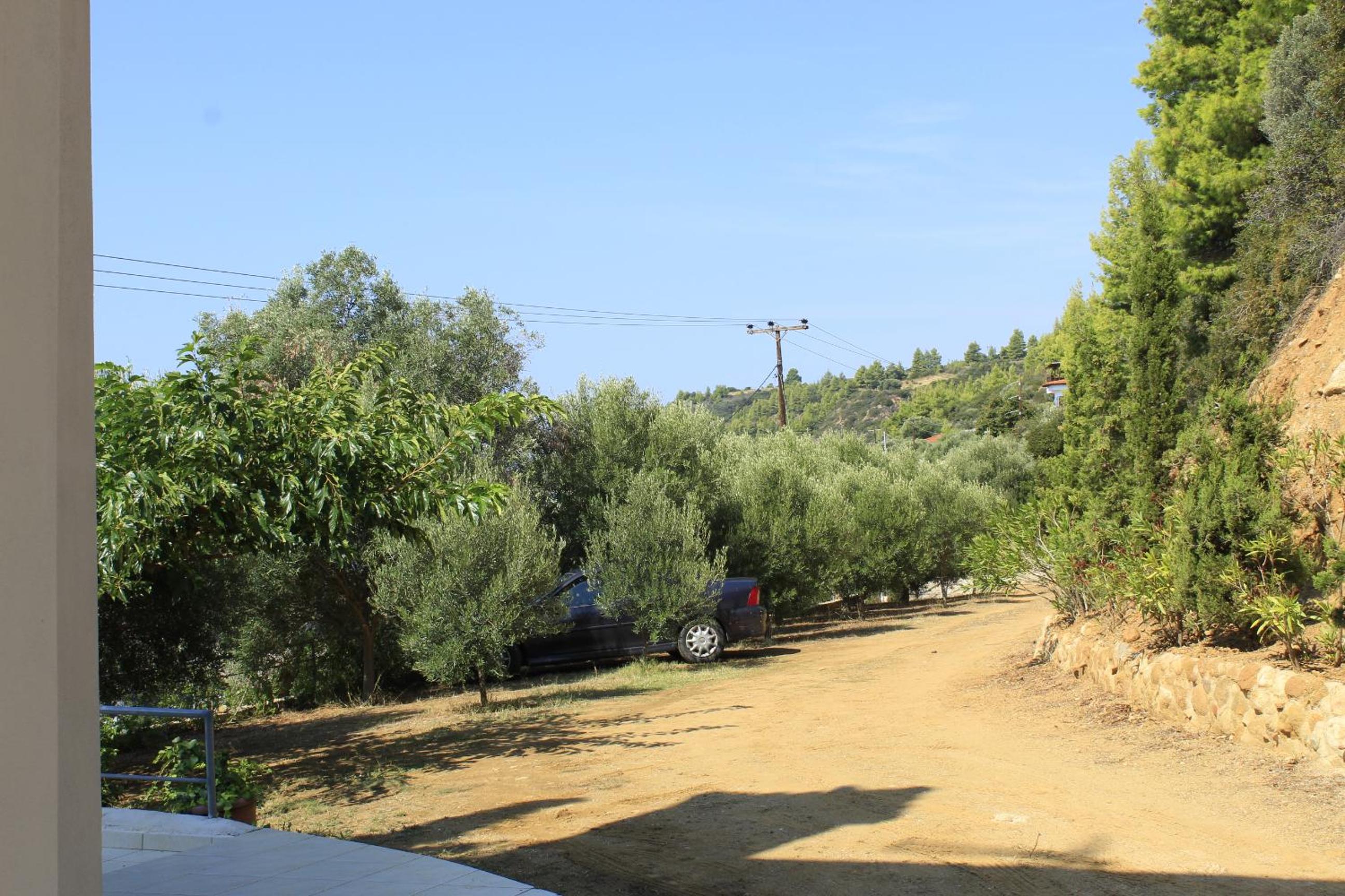 Photo 31