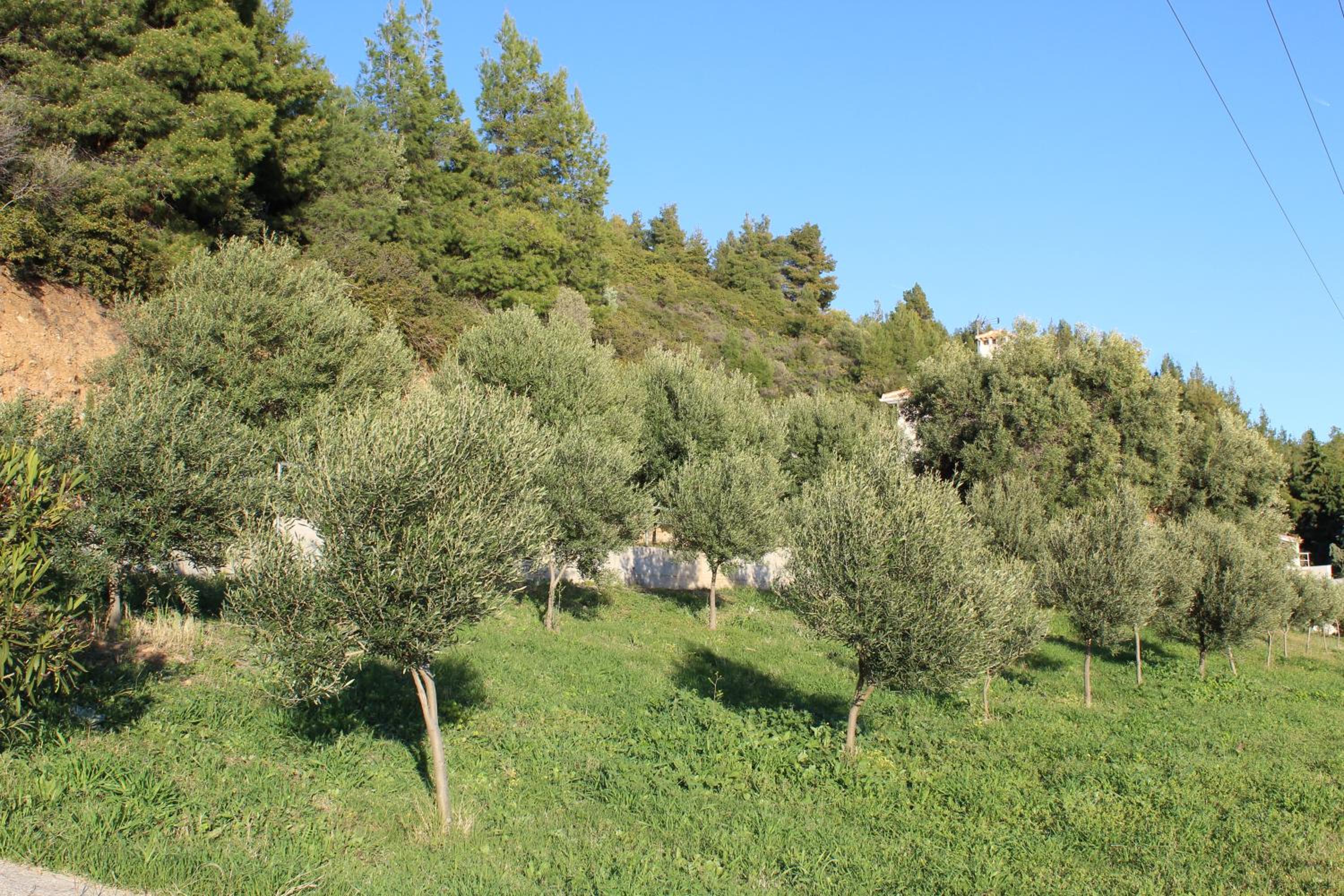Photo 32