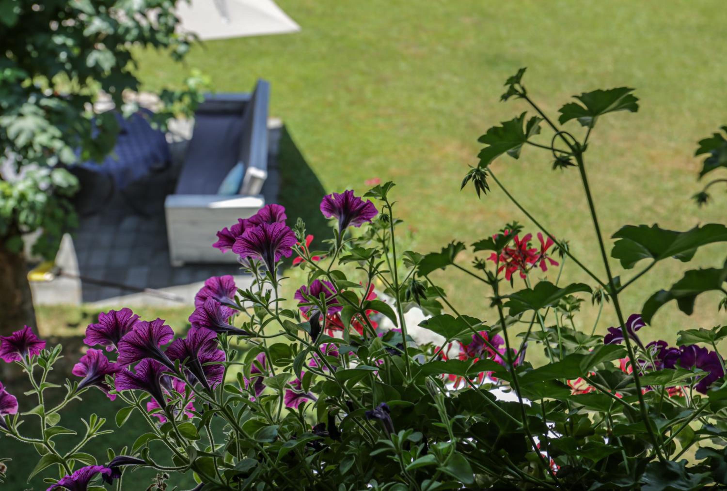 Pension Villa Louise