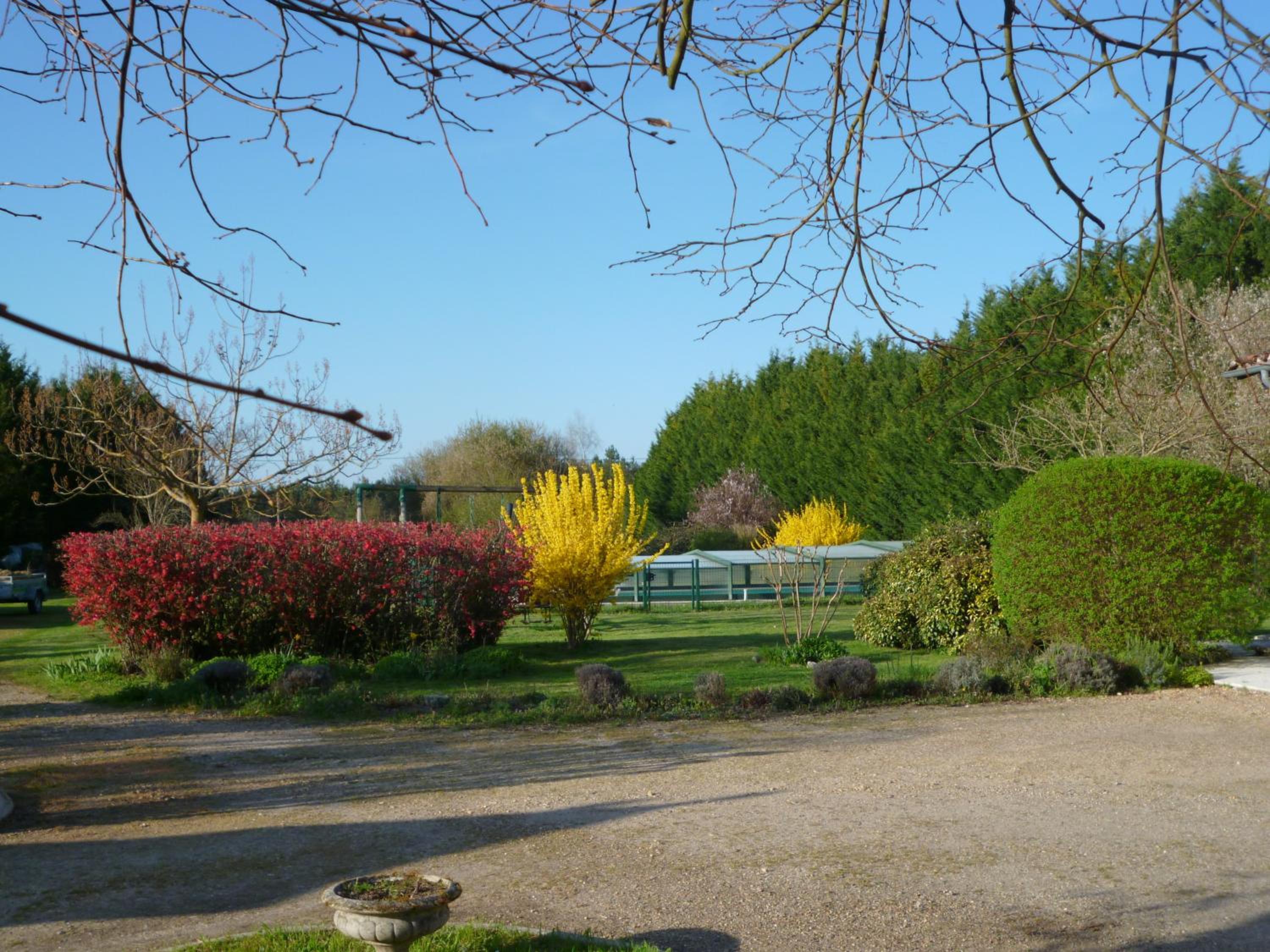 Les Sureaux