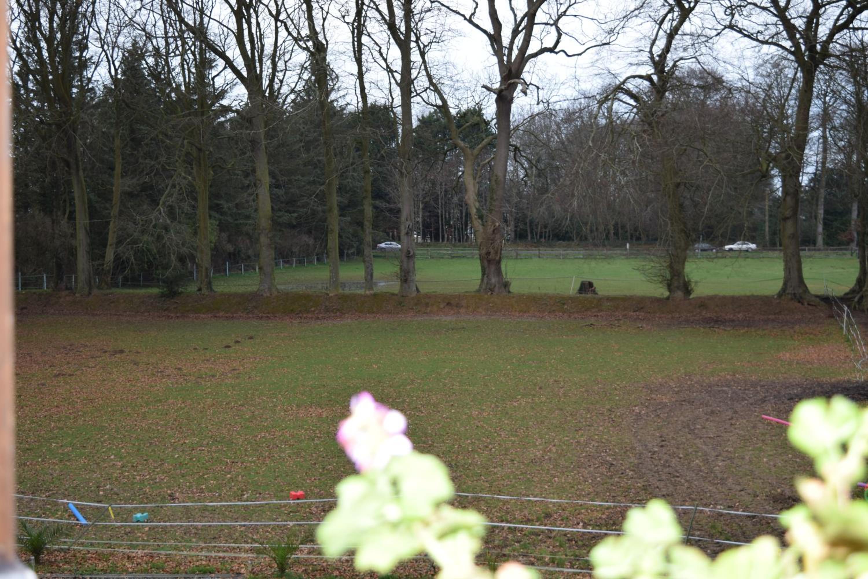 Chez Kate et lolo view 4