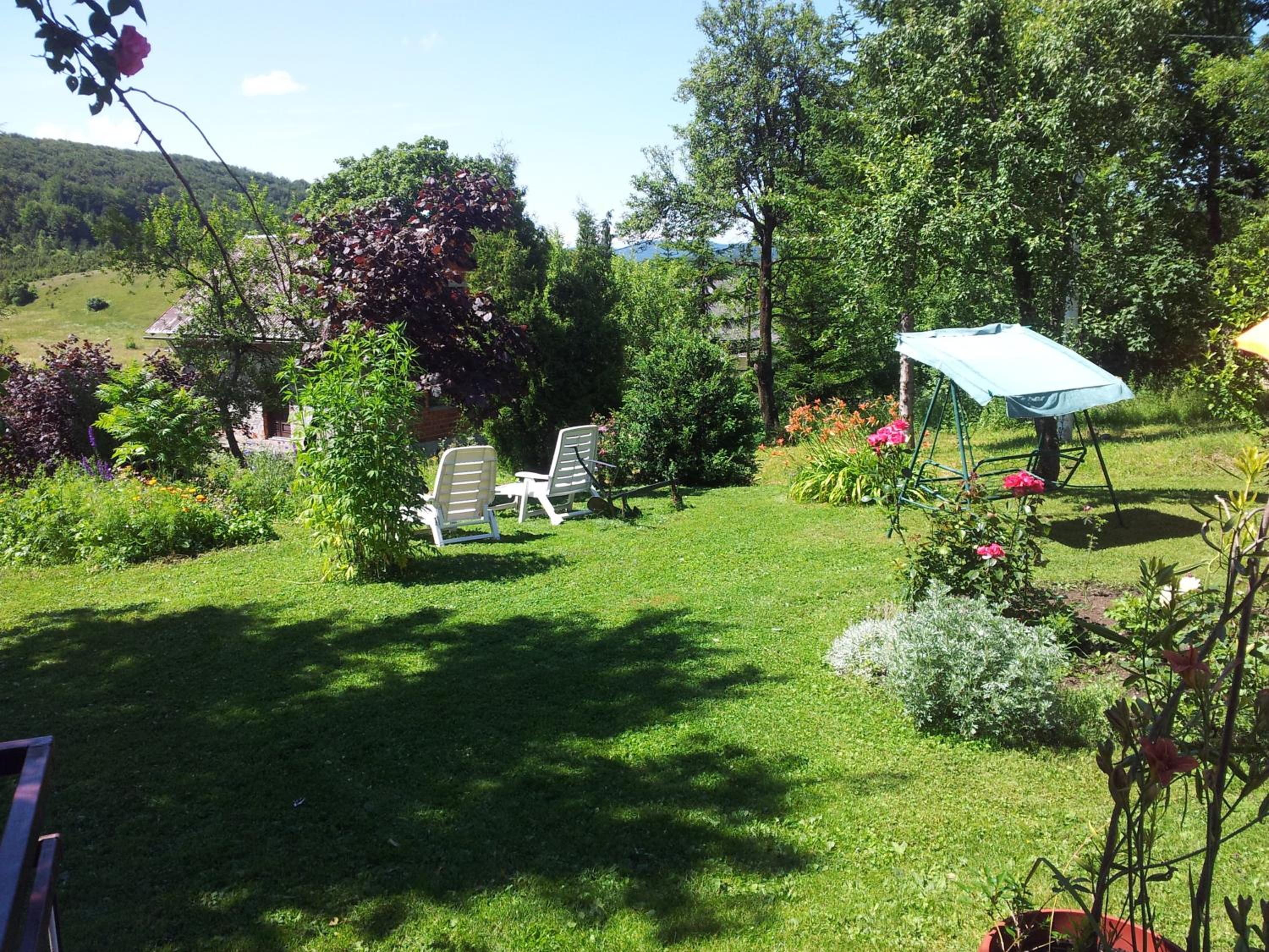Photo 23