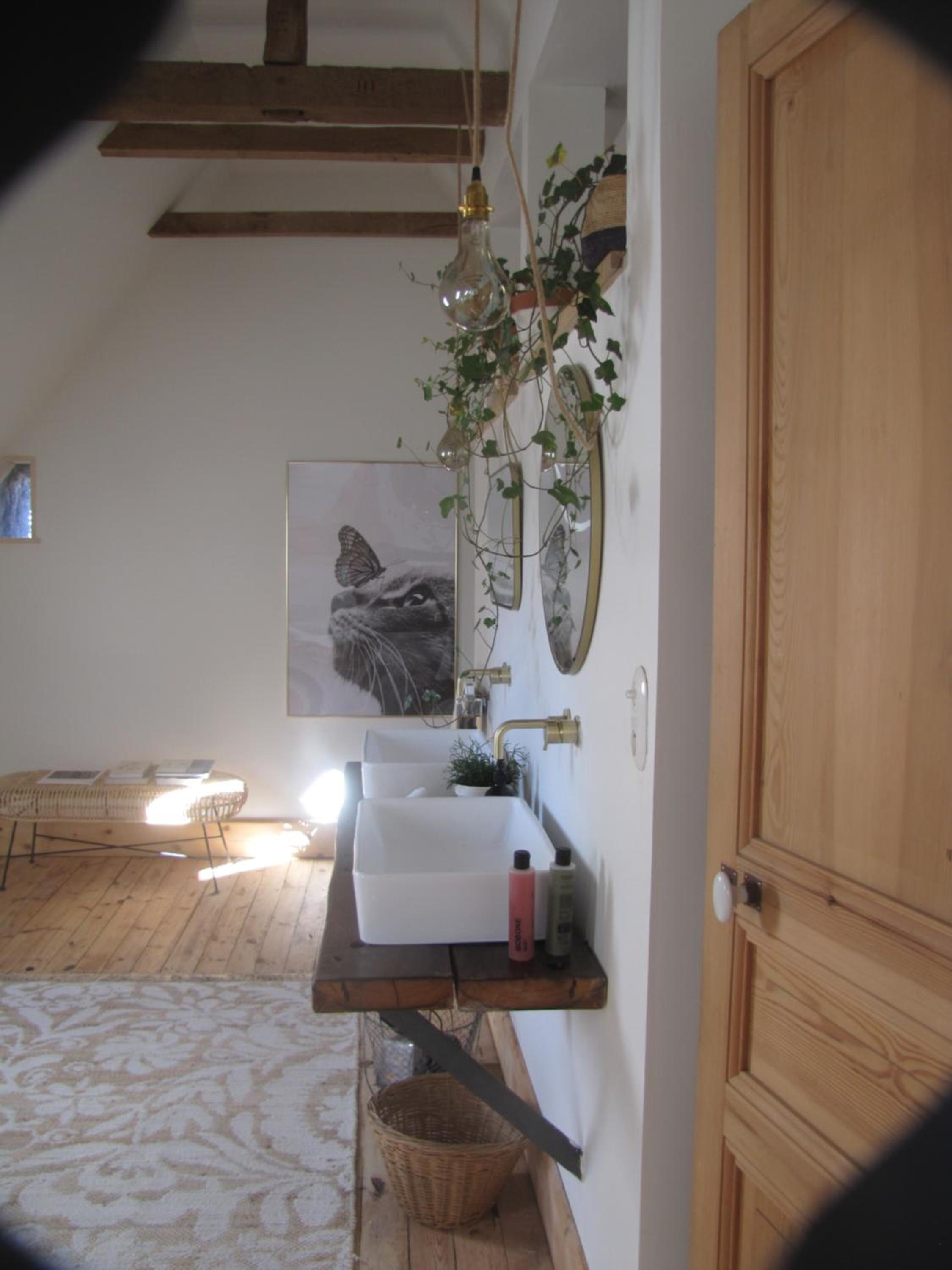 Esprit Nature Rêve d'étoiles