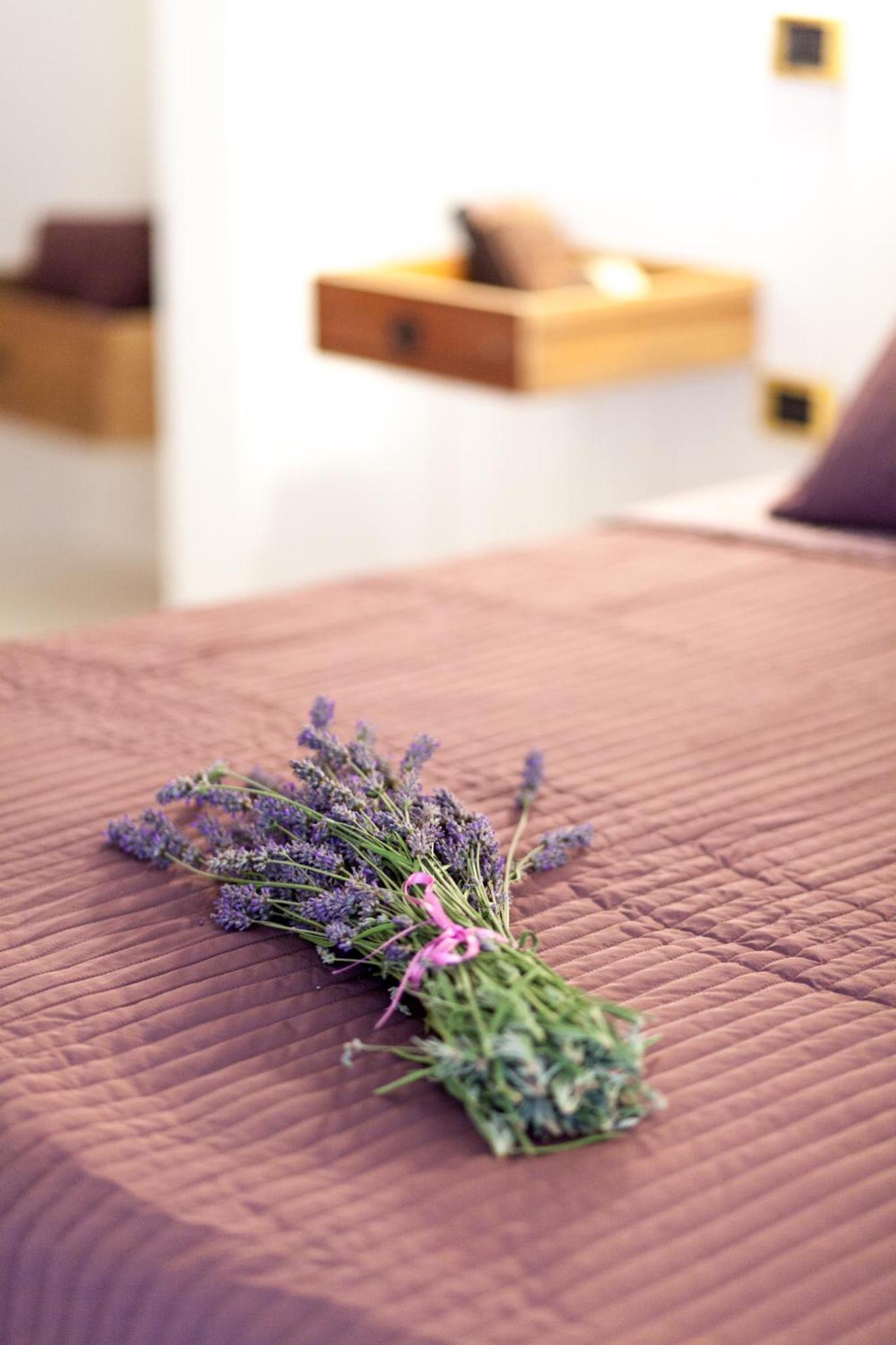 A Casa Di Gaia Bed and Breakfast