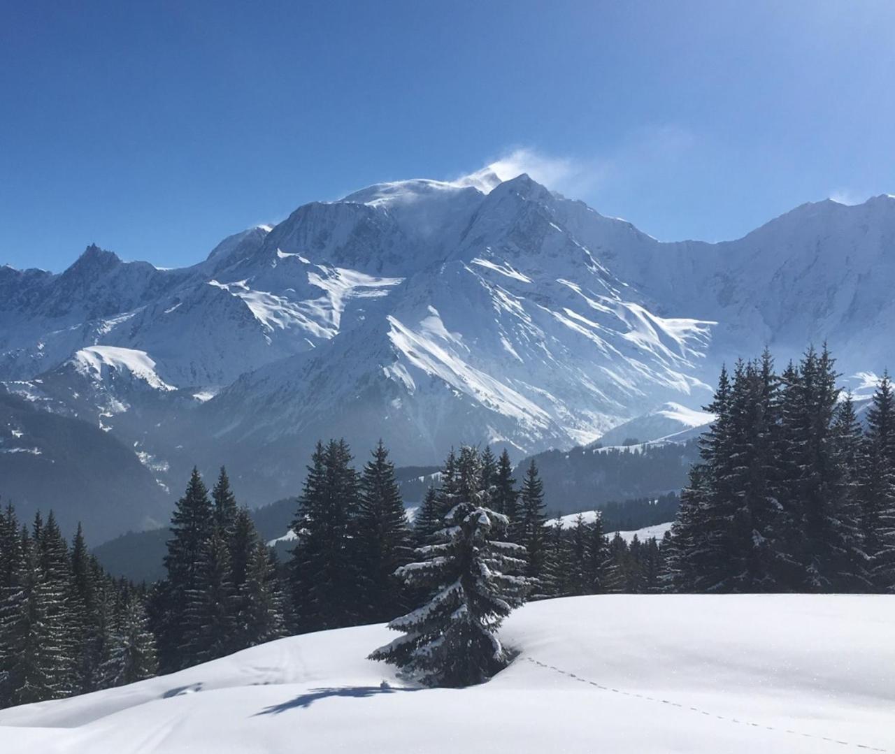 Chalet l'Aiglon view 2