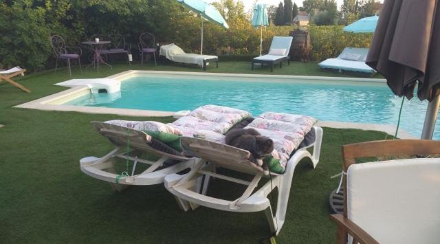 La Bastide Neuve des Oliviers view 3