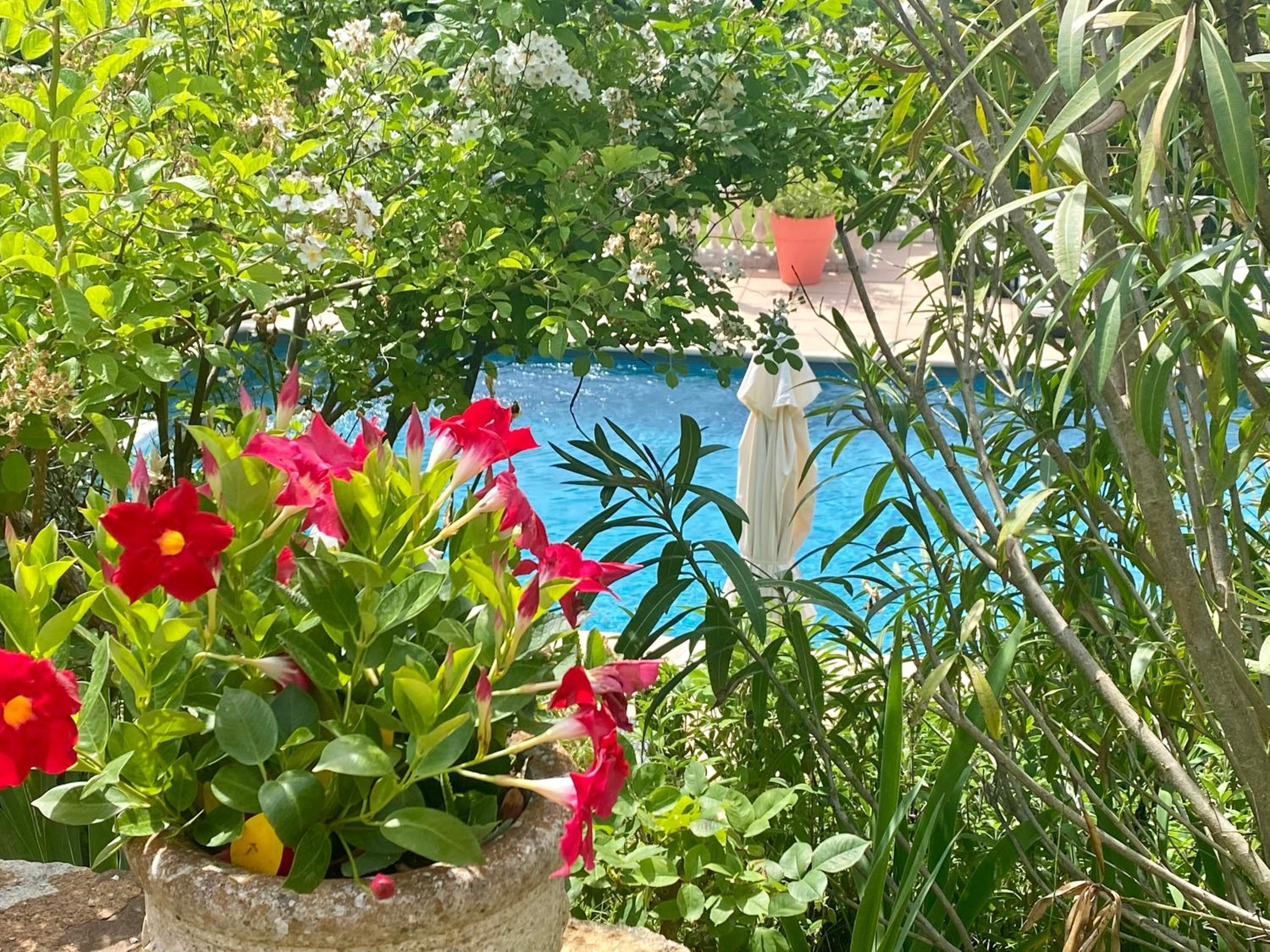 Villa des Roses