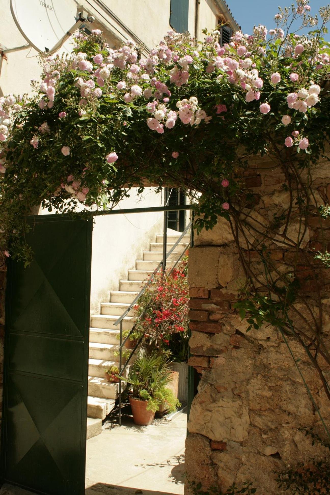 Lovely apartment in old part of Vis view 2