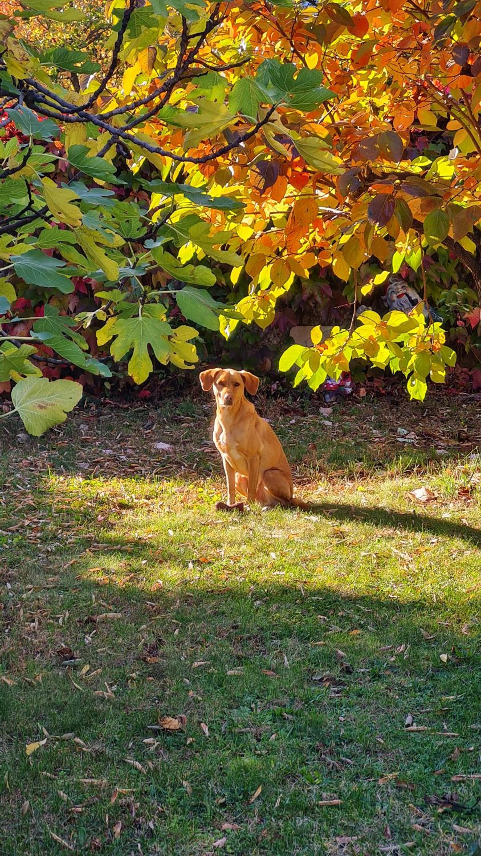 Photo 46