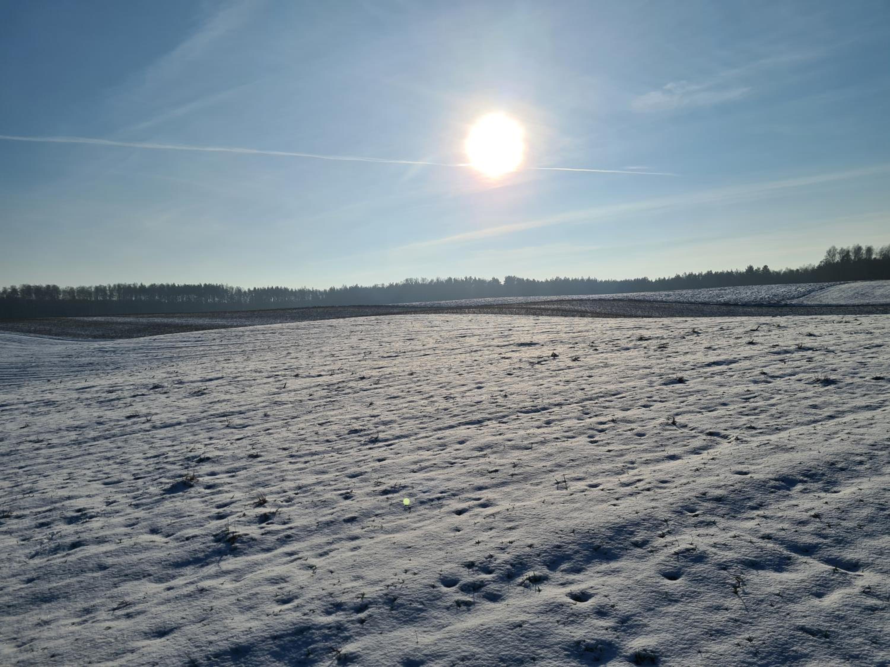 Domek Adam - Kozy view 4