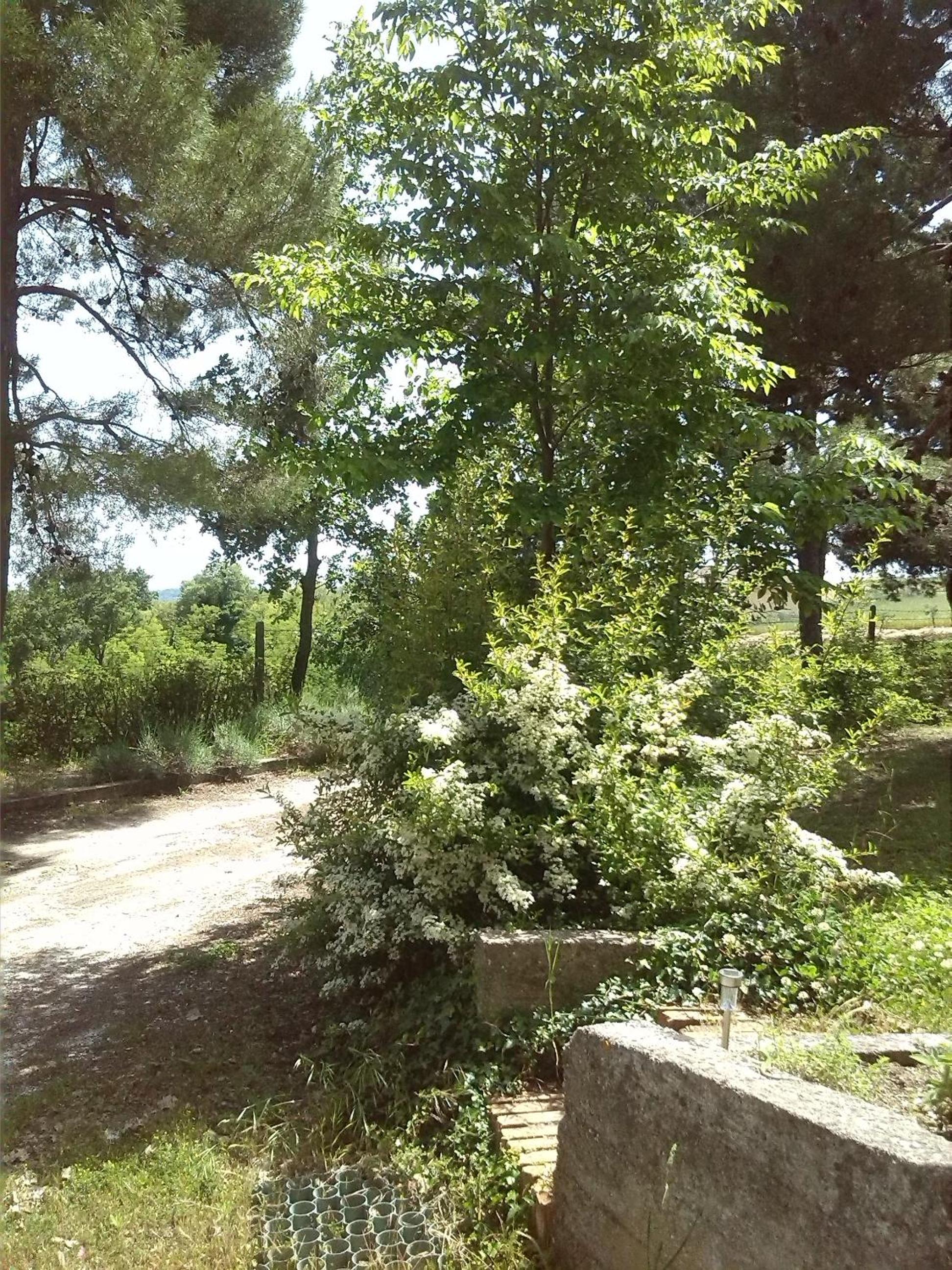B&B Il Nido Di Alice