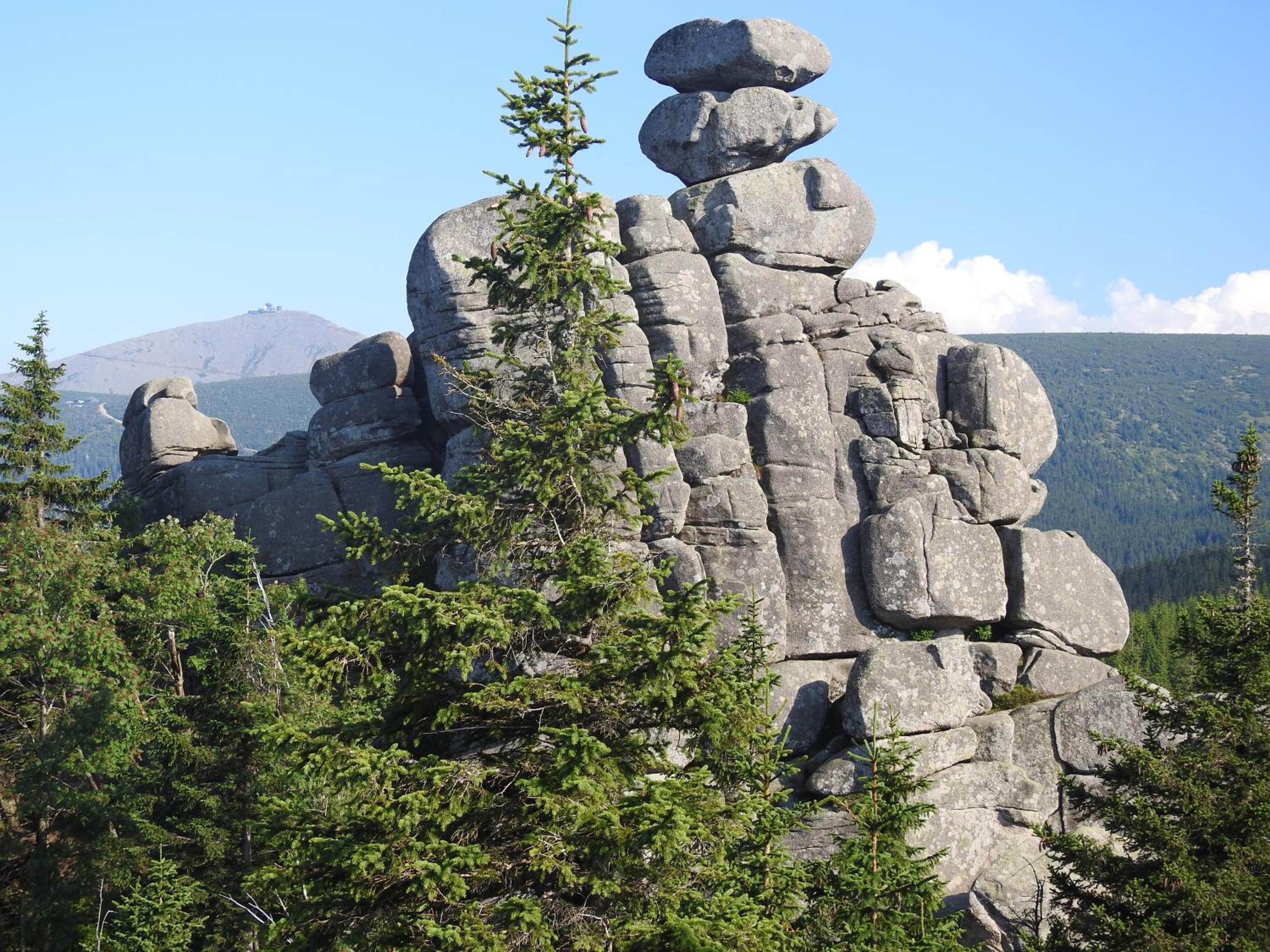 Photo 40