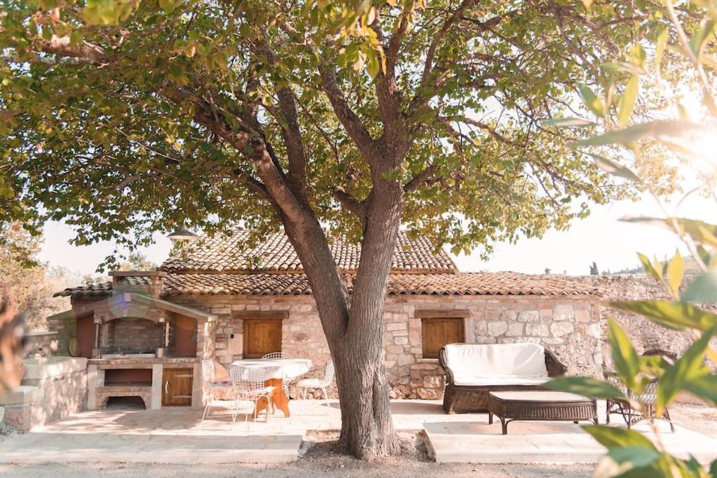 Villa Violla photo 2
