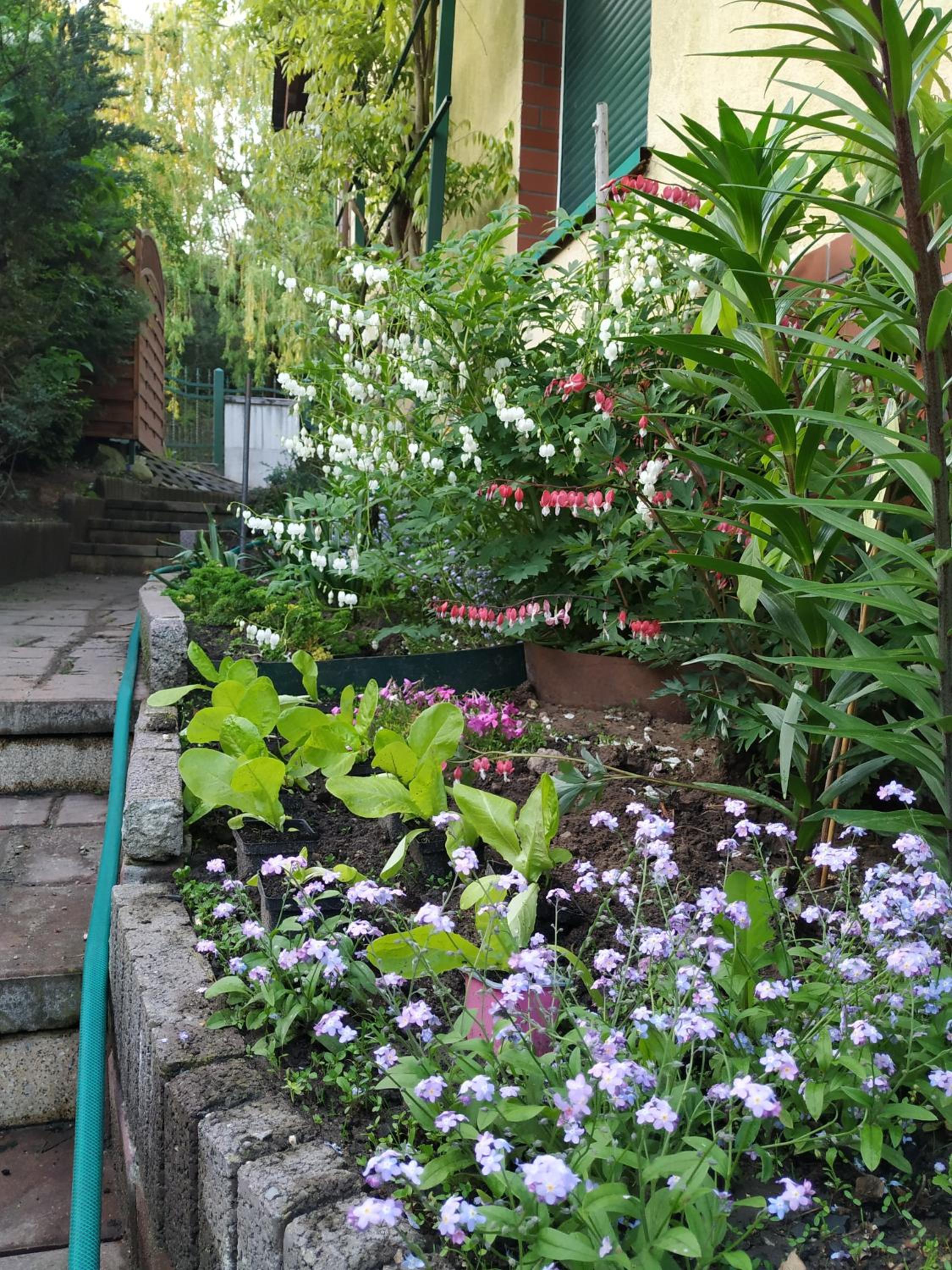 Dolina Muminków