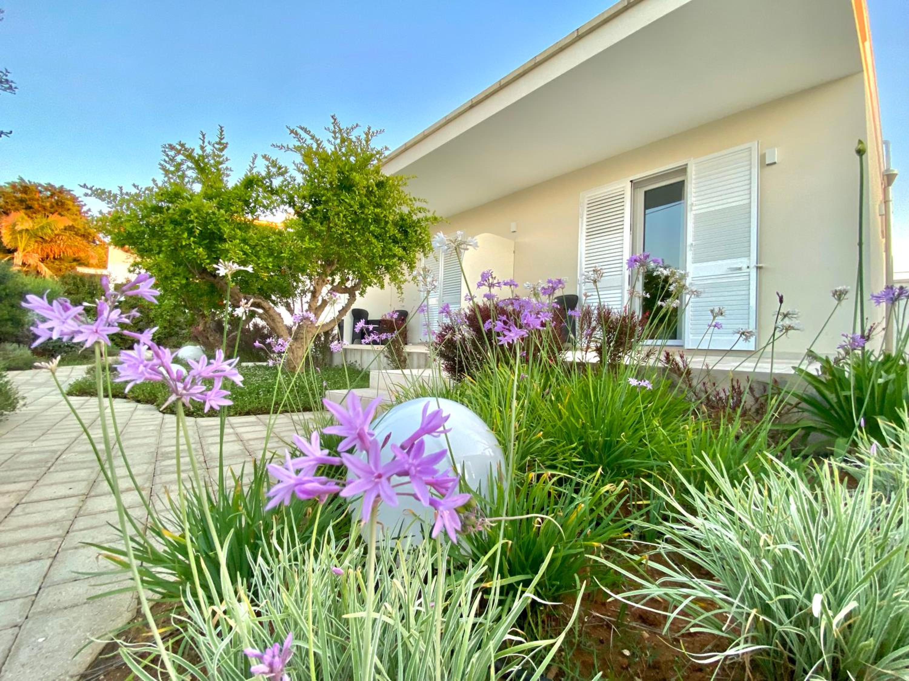 Lux apartments