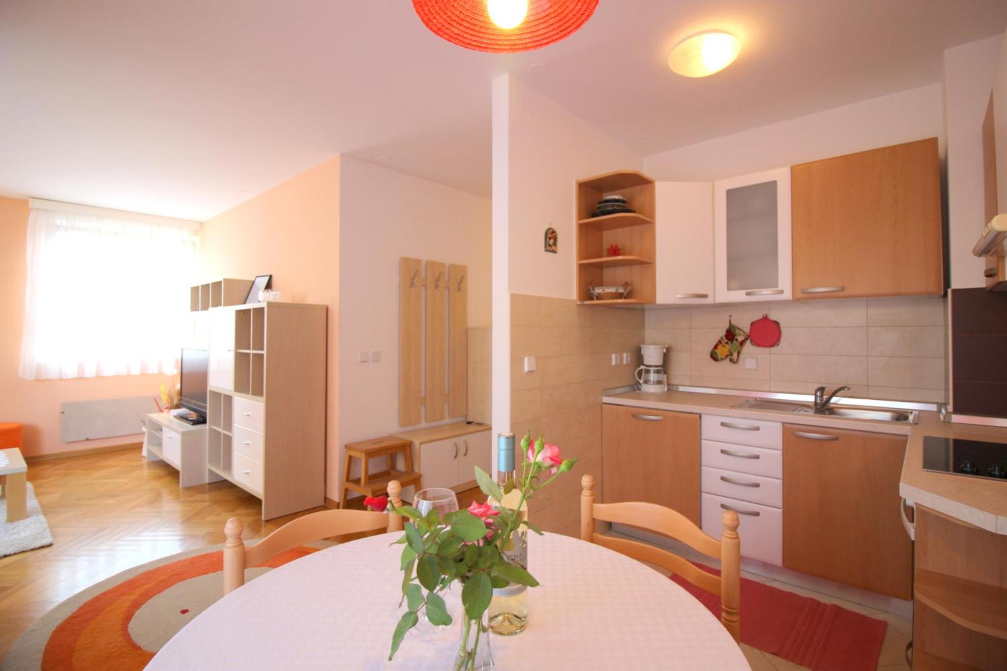 Apartment Vojka in city center view 4