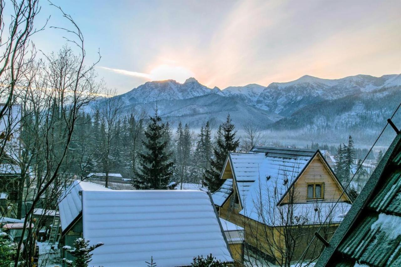 ZAKOHOME- Apartament Snowdancer view 2