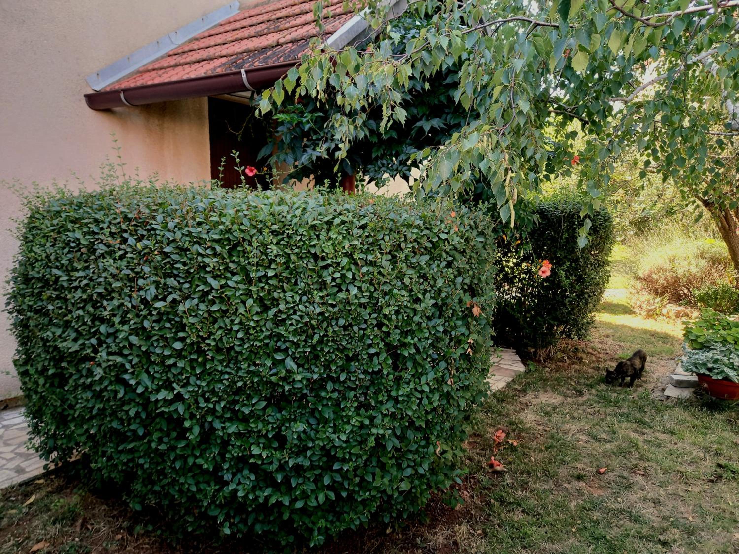 Photo 22