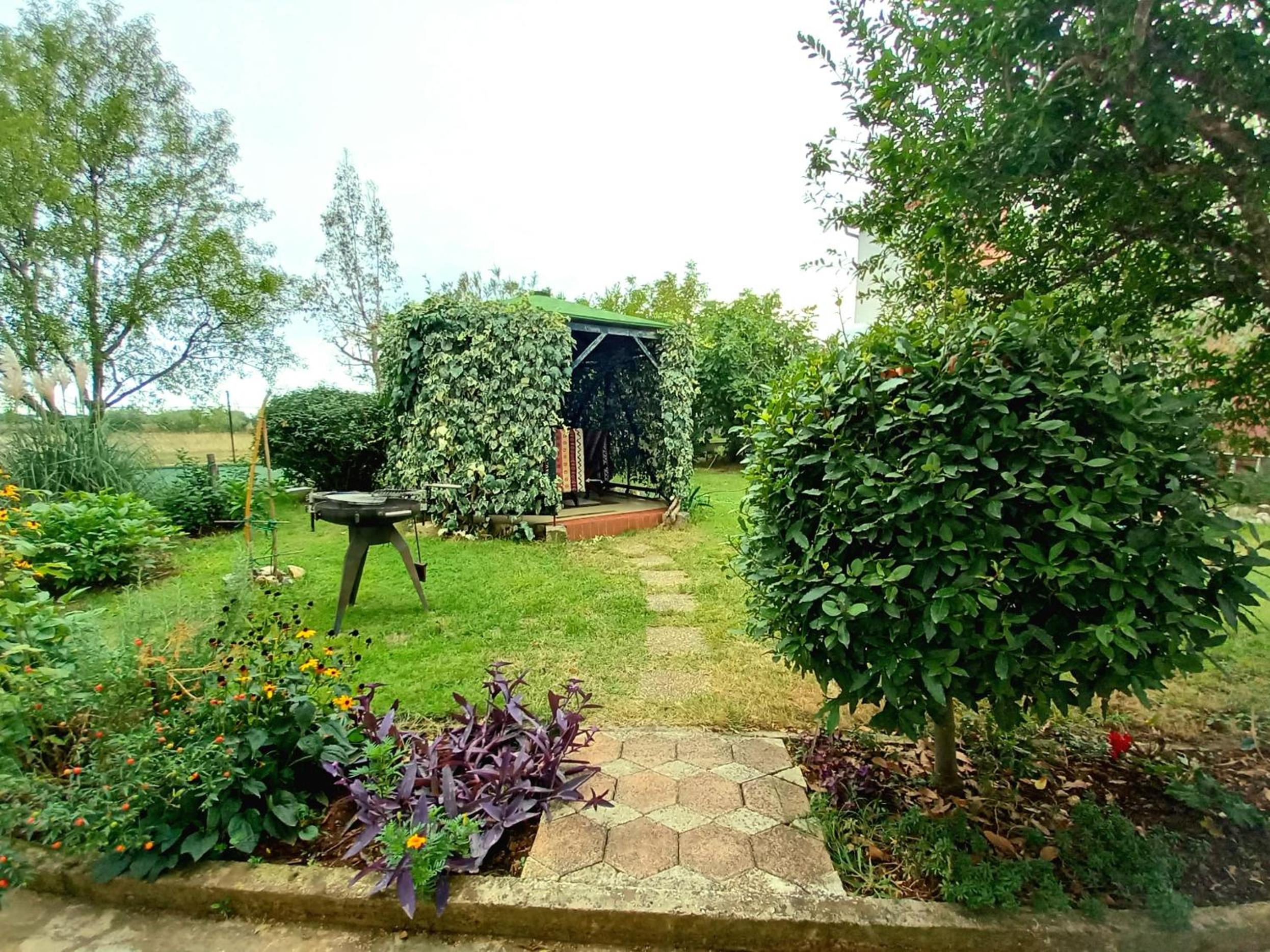 Photo 29