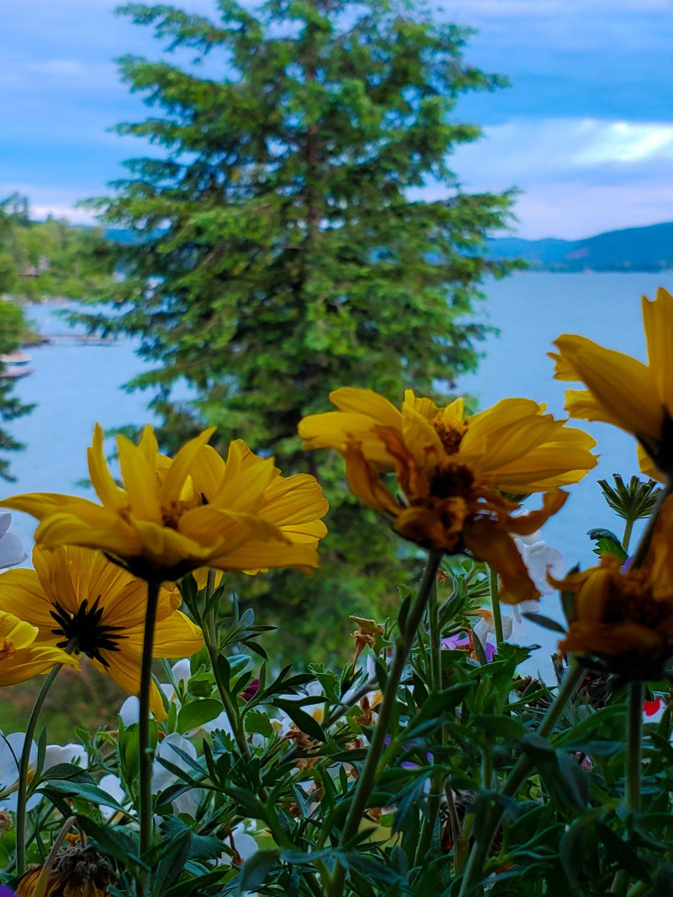 Sandpoint Vacations - Lodge at Sandpoint - Property Image 52