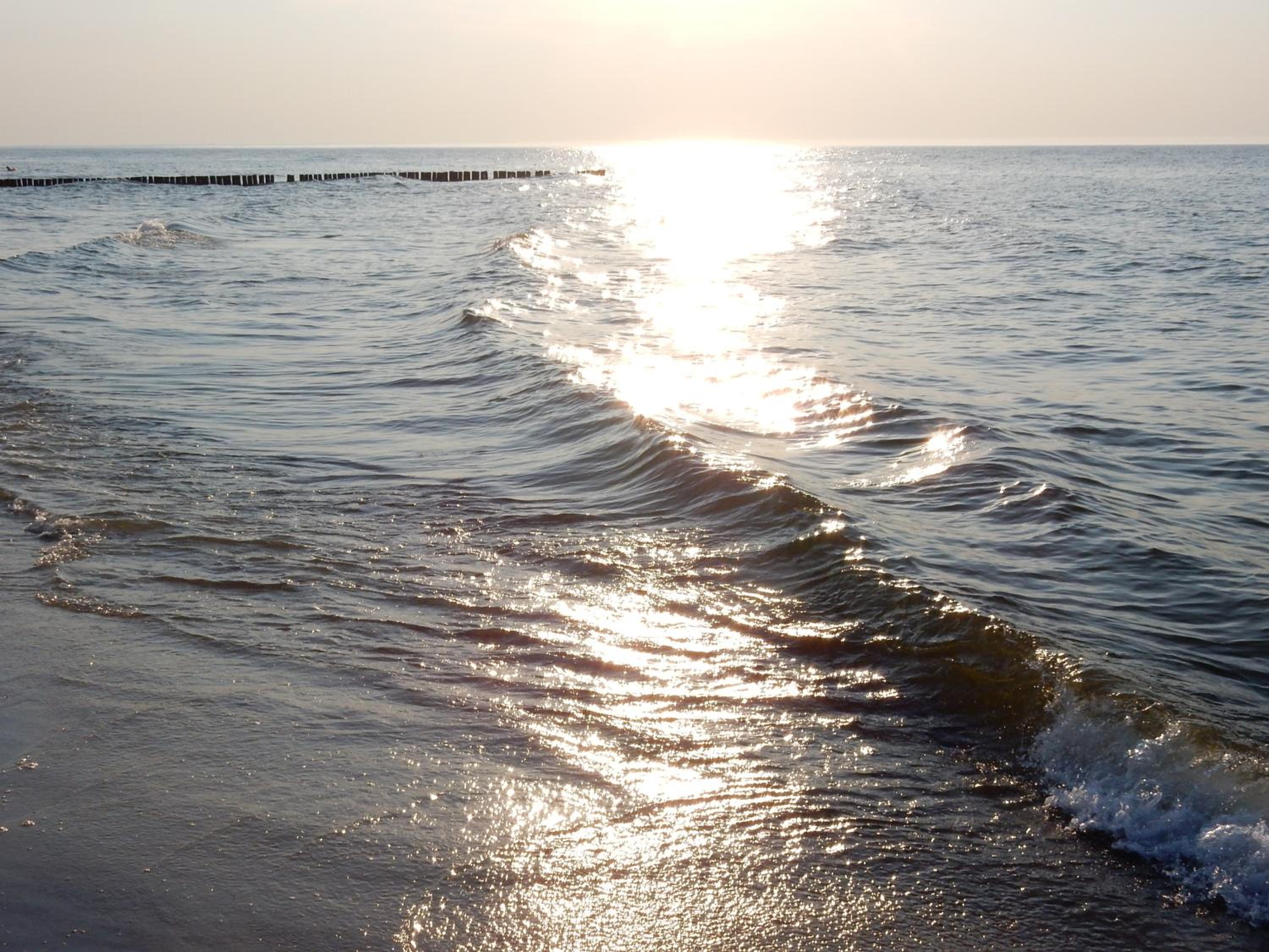 Photo 46