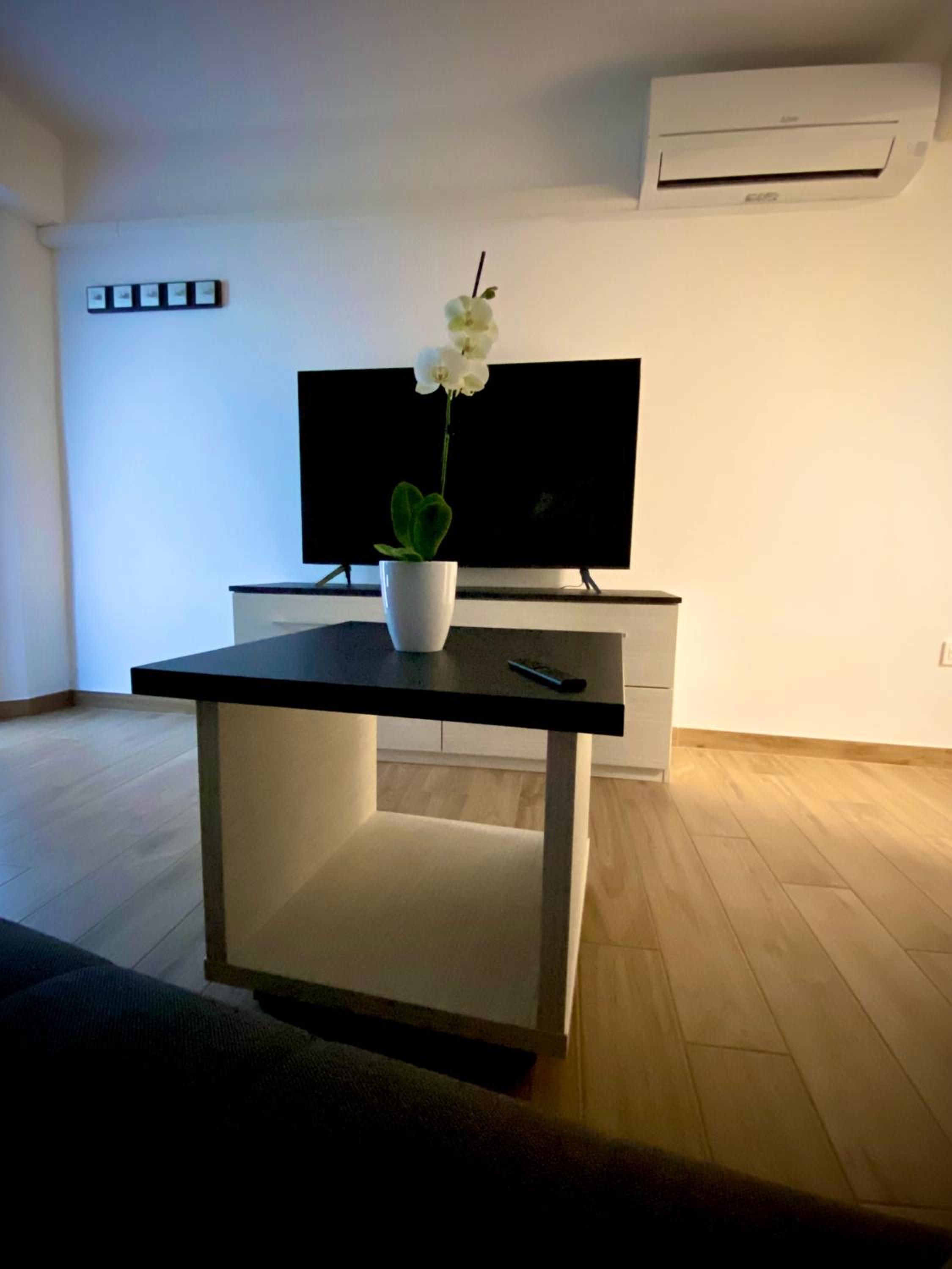 Apartma Sinitus
