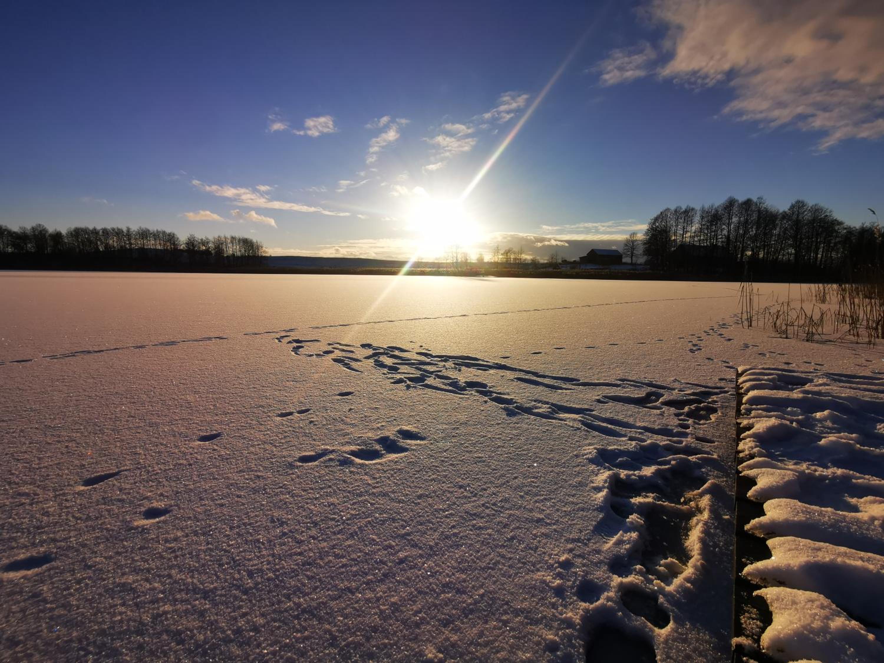 Photo 43