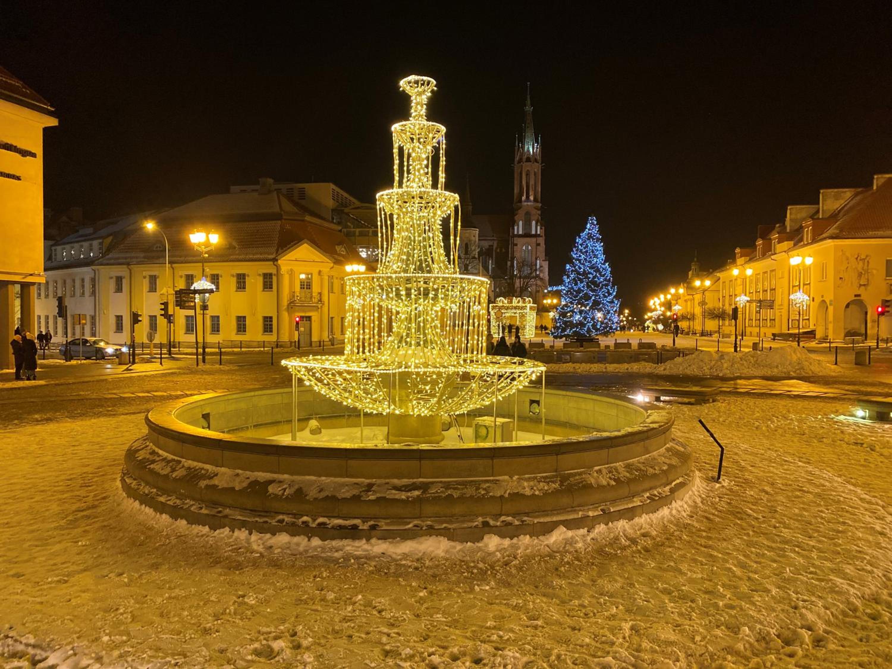 Photo 50