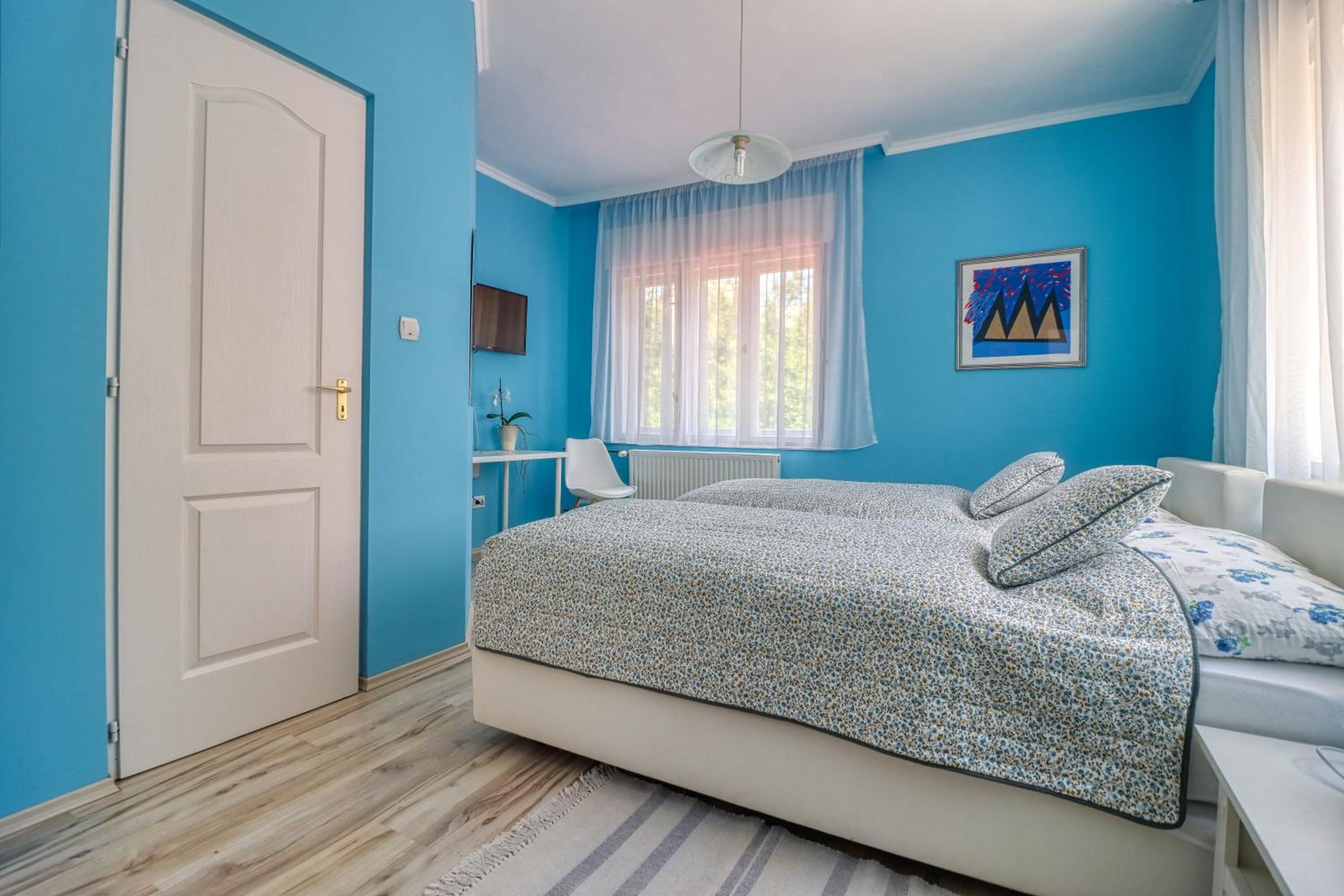 Vincze Villa Vendégház view 5